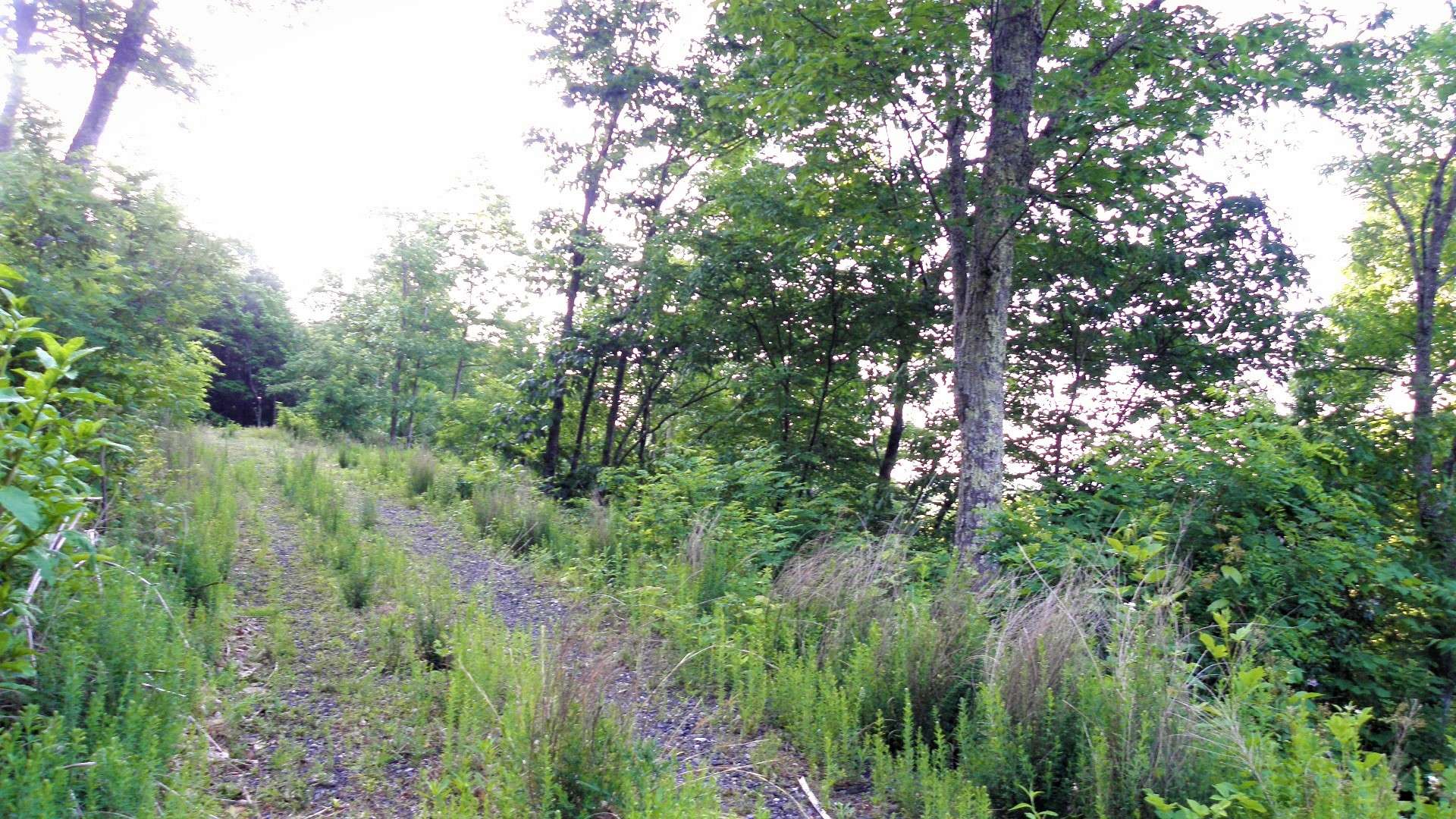 This tract is already divided into two, 2-acre South facing home sites with road roughed in and building site in place.