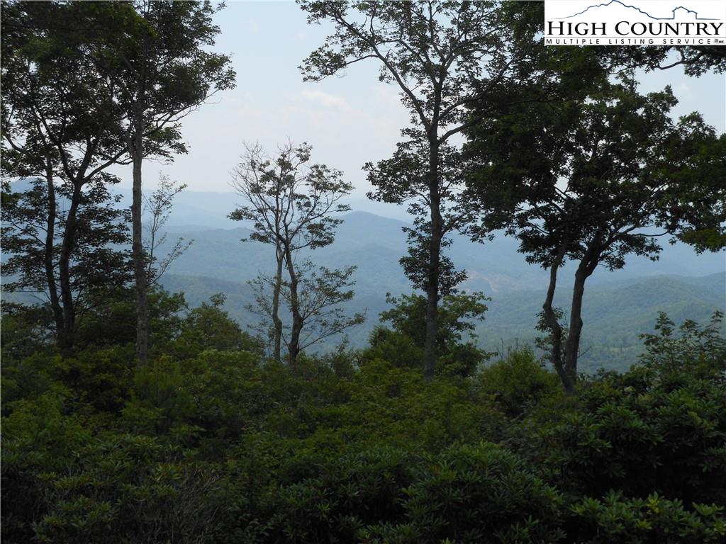 Parcel 4 Amicalola Way