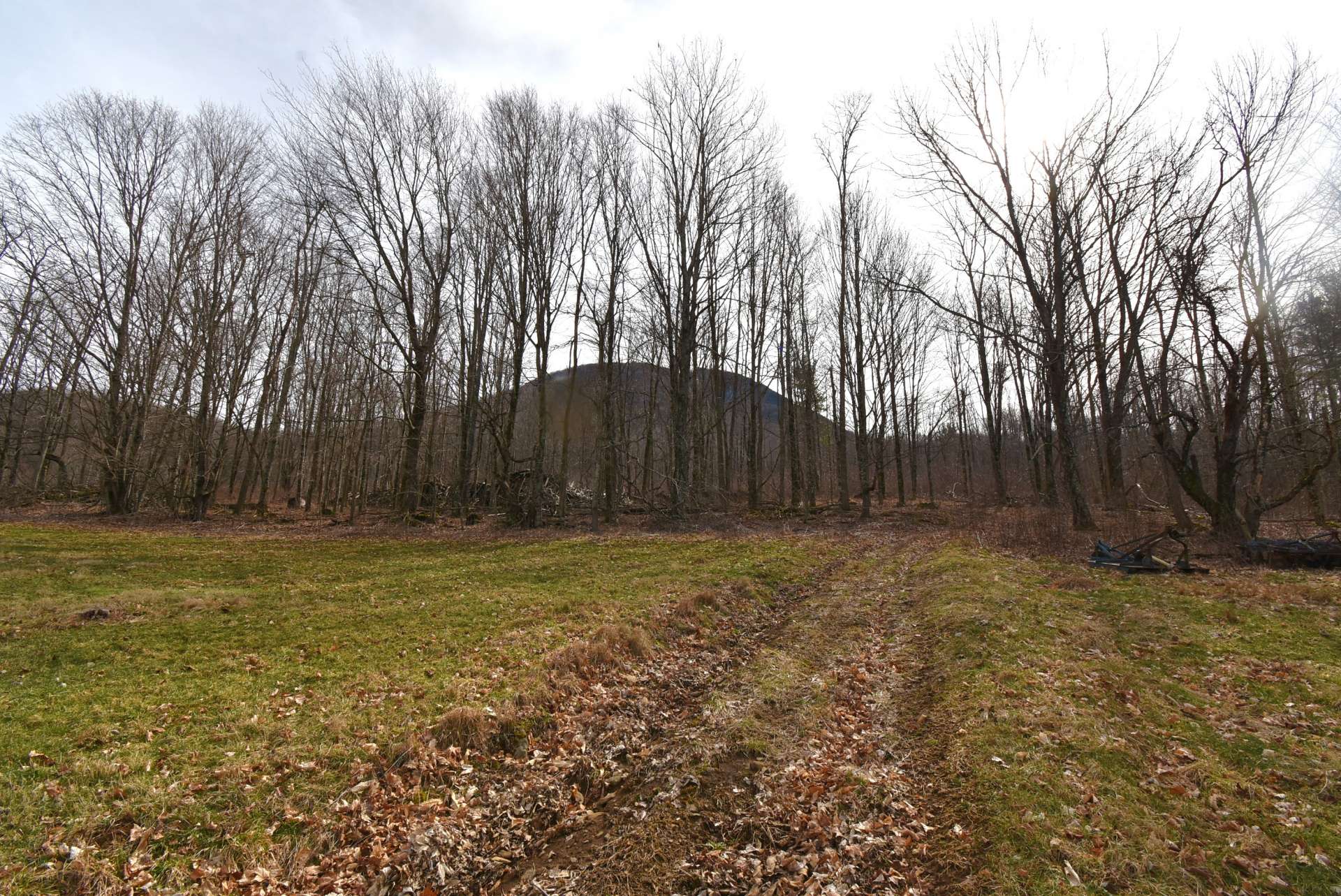 Lets explore this tract via a farm road.