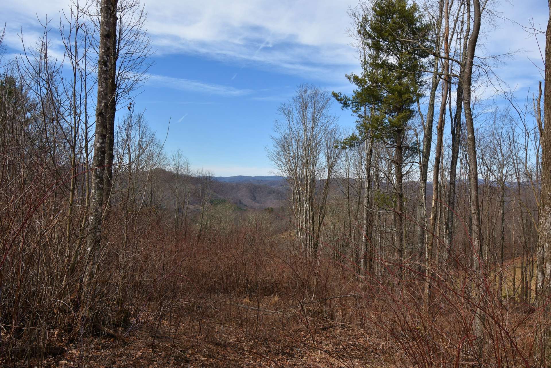 Imagine your dream NC Mountain cabin or home constructed here on this site.