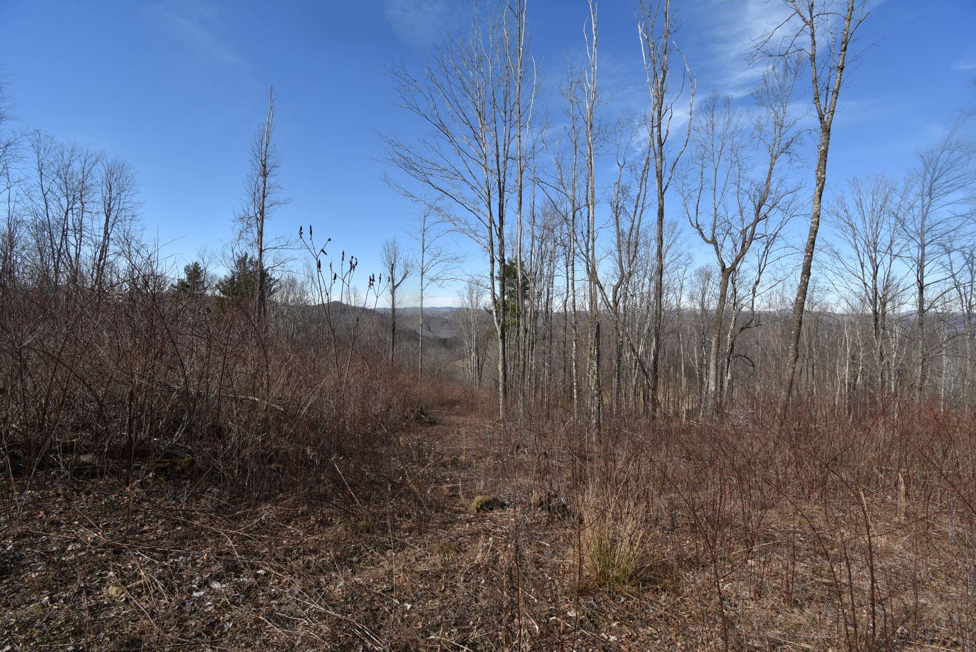 The Peak is one of  Ashe County's tallest mountains. Elevations on this tract ranges from 3,400 feet at the bottom to over 4,000 feet at the top.  Fresh Mountain air!