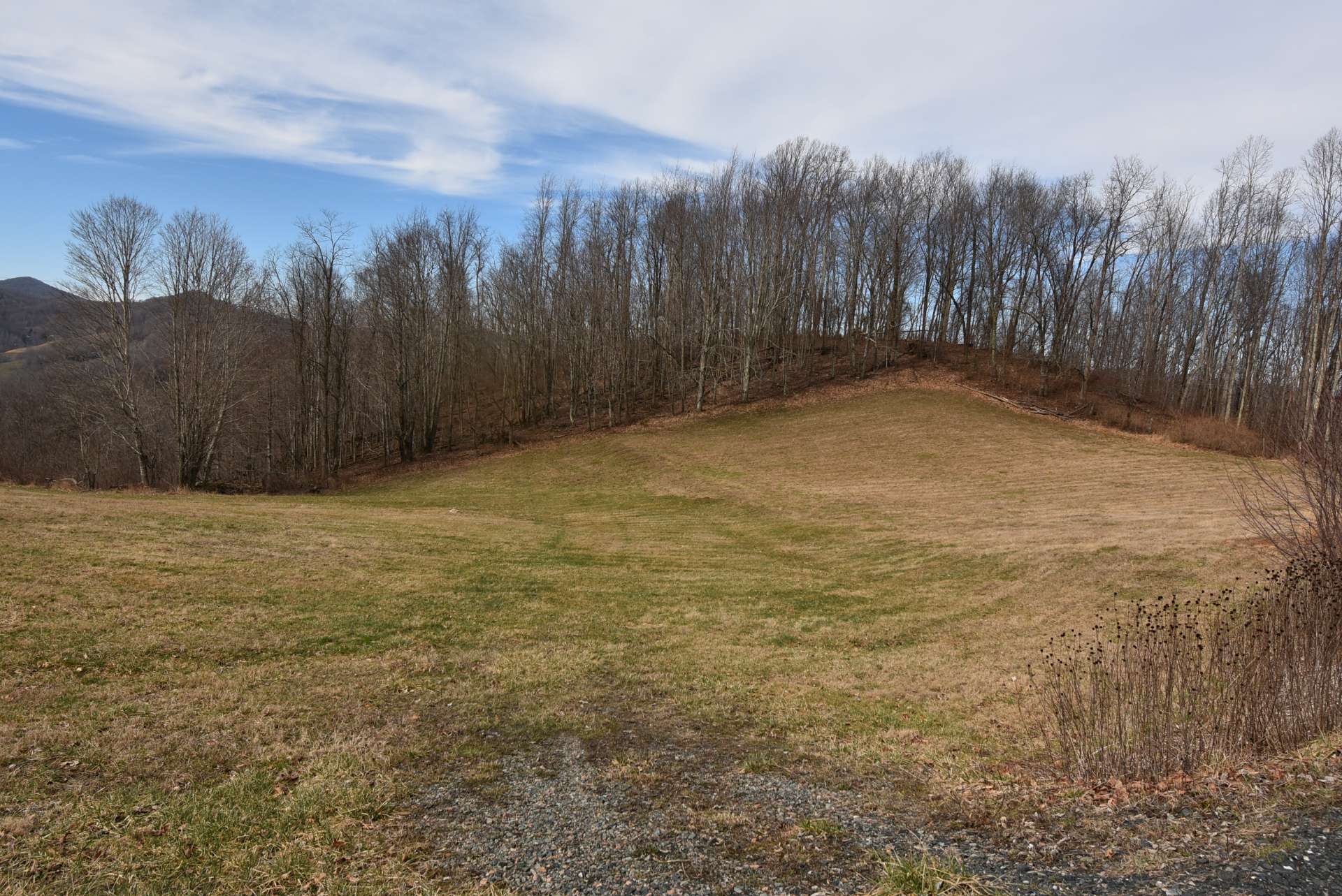 This property boasts a mixed terrain with some open pasture, woodlands, high elevations, multiple home sites, long range views, and abundant wildlife.