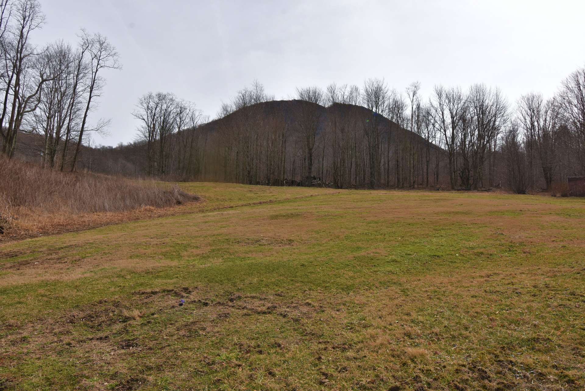 Pasture for horses or other livestock, as well as crops, or even a vineyard.