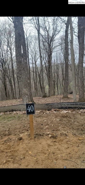 Poplar Forest Lot 40 Drive