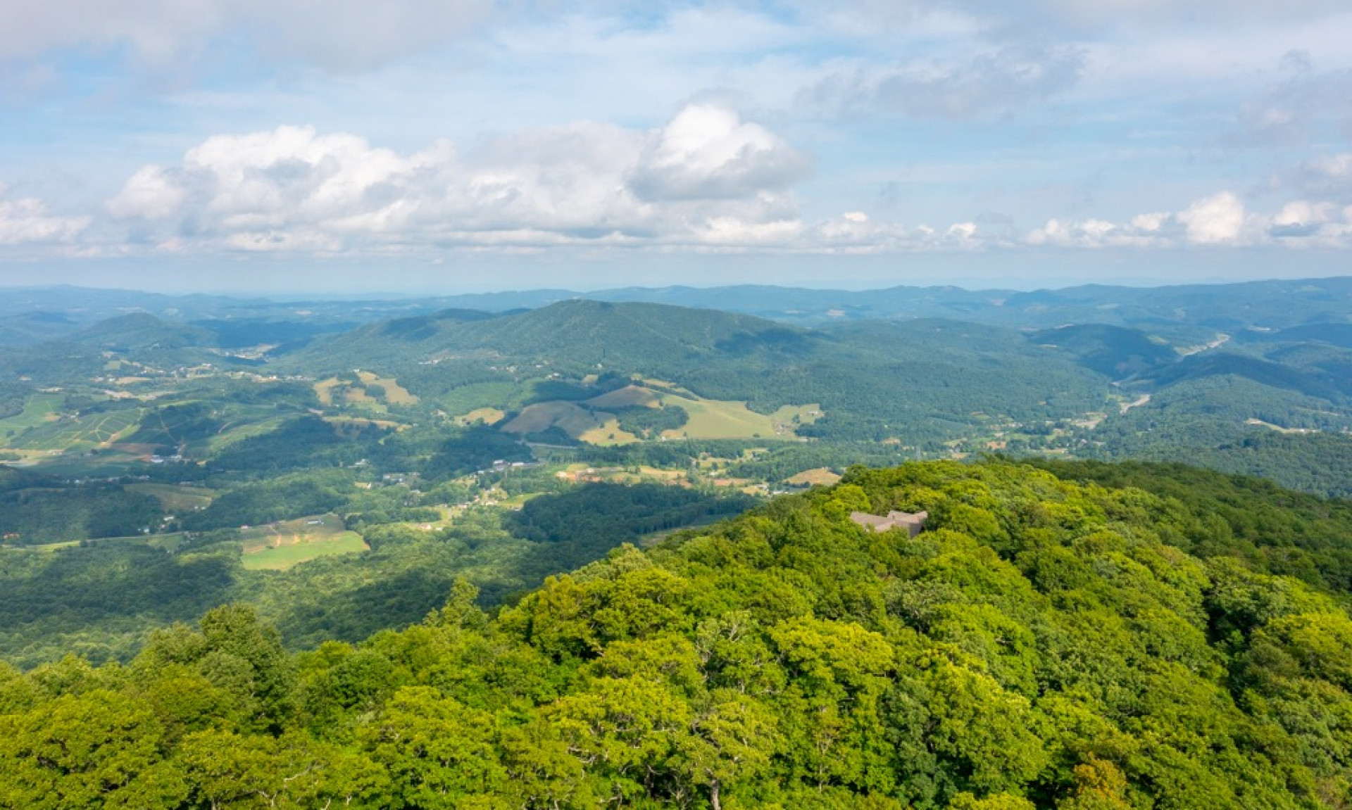 Premier NC Mountain Land Big Tree