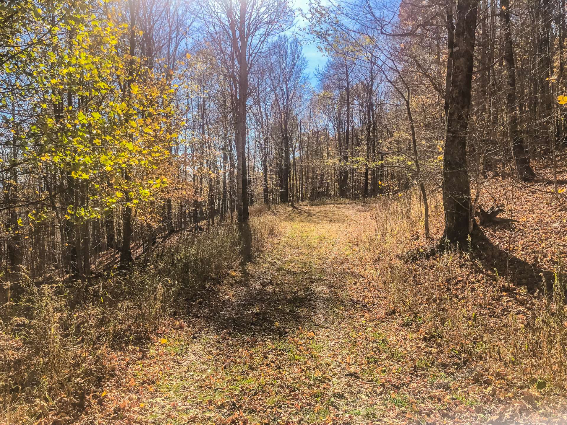 3 / 28Imagine relaxing on the deck or porch of your new mountain cabin or home and enjoying the sounds of Nature and the mountain breezes whispering through the trees.