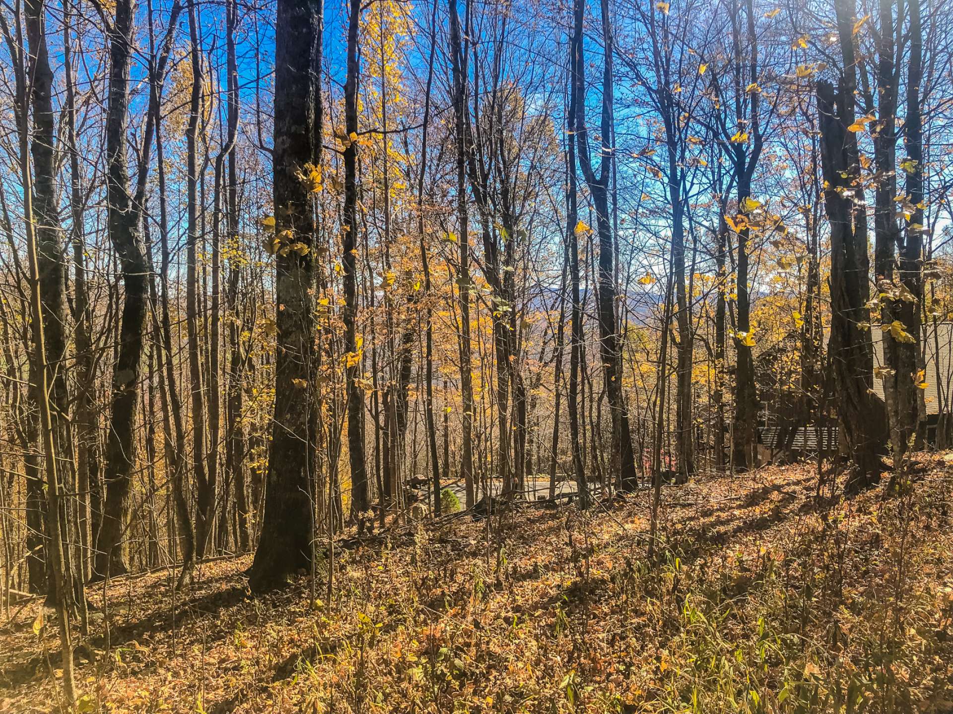 Layered long range views can be yours with select tree trimming and removal.