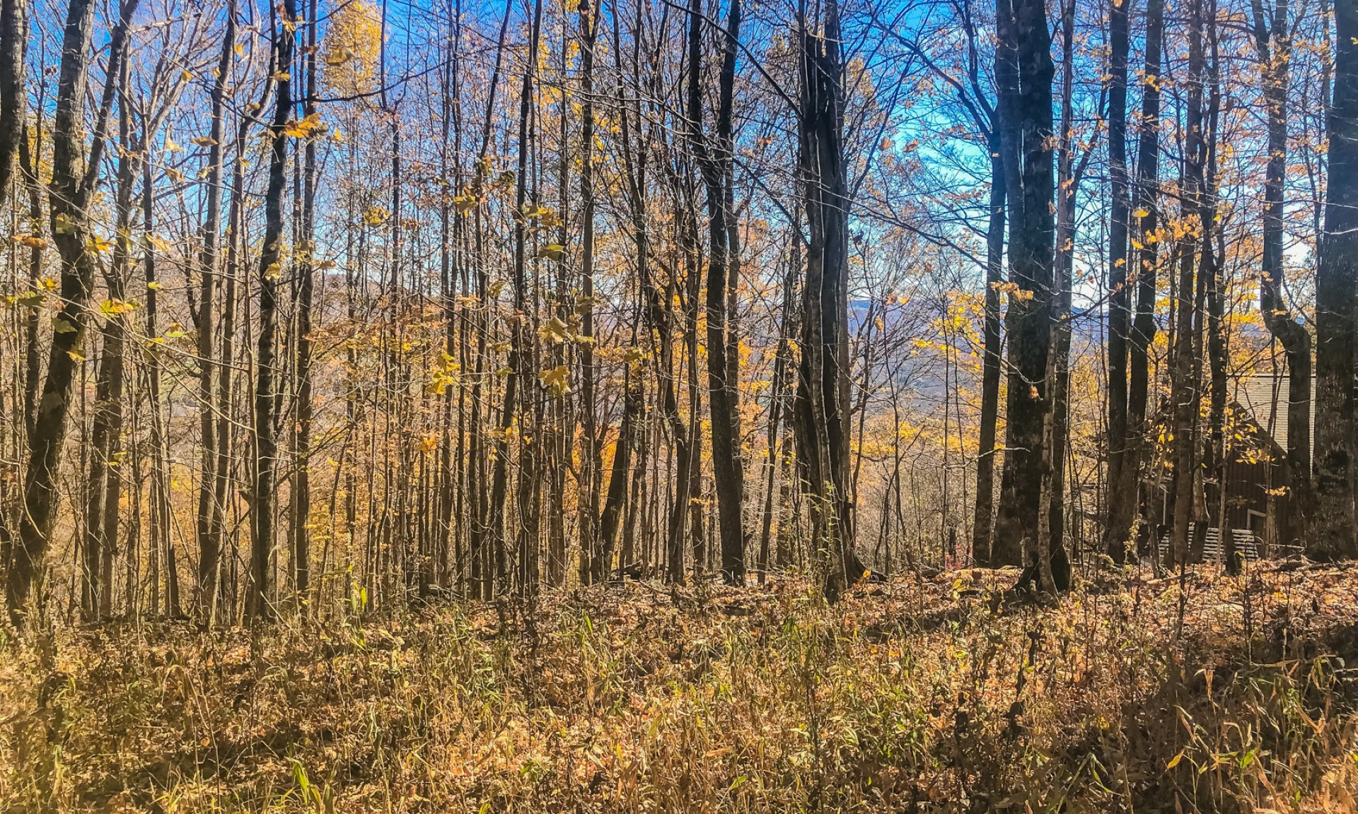 Premium NC Mountain Home Site