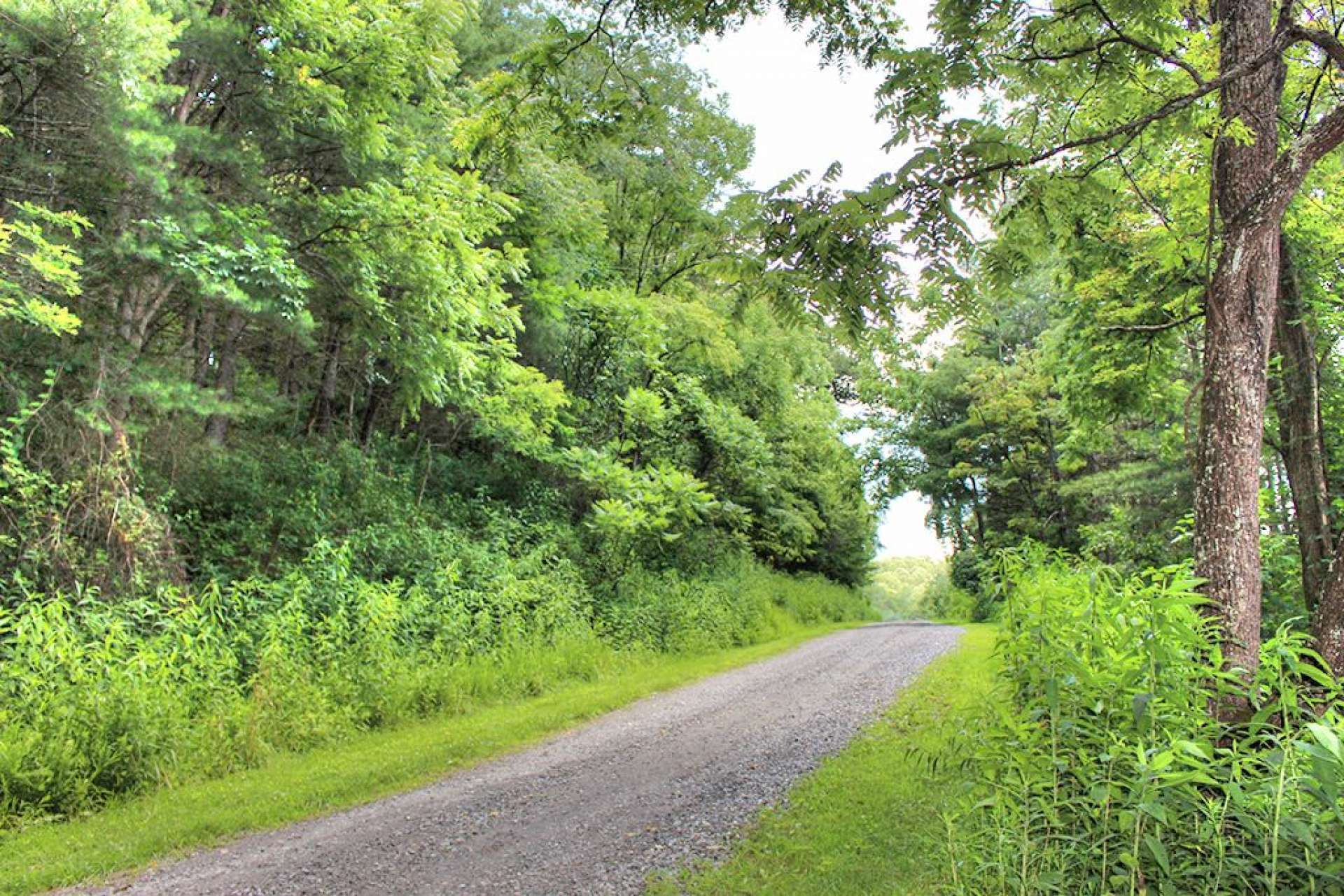 The Preserve on the New River offers well maintained private gravel roads. The land is accessible from either Mouth of Silas Ext. or Haven Ridge Rd.