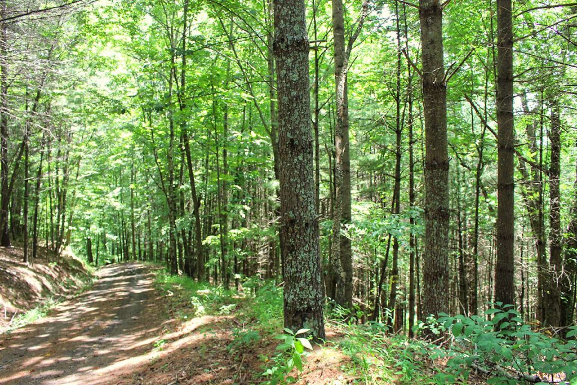 Perfect for privacy, these lots offer 4.186 acres for several home site options.