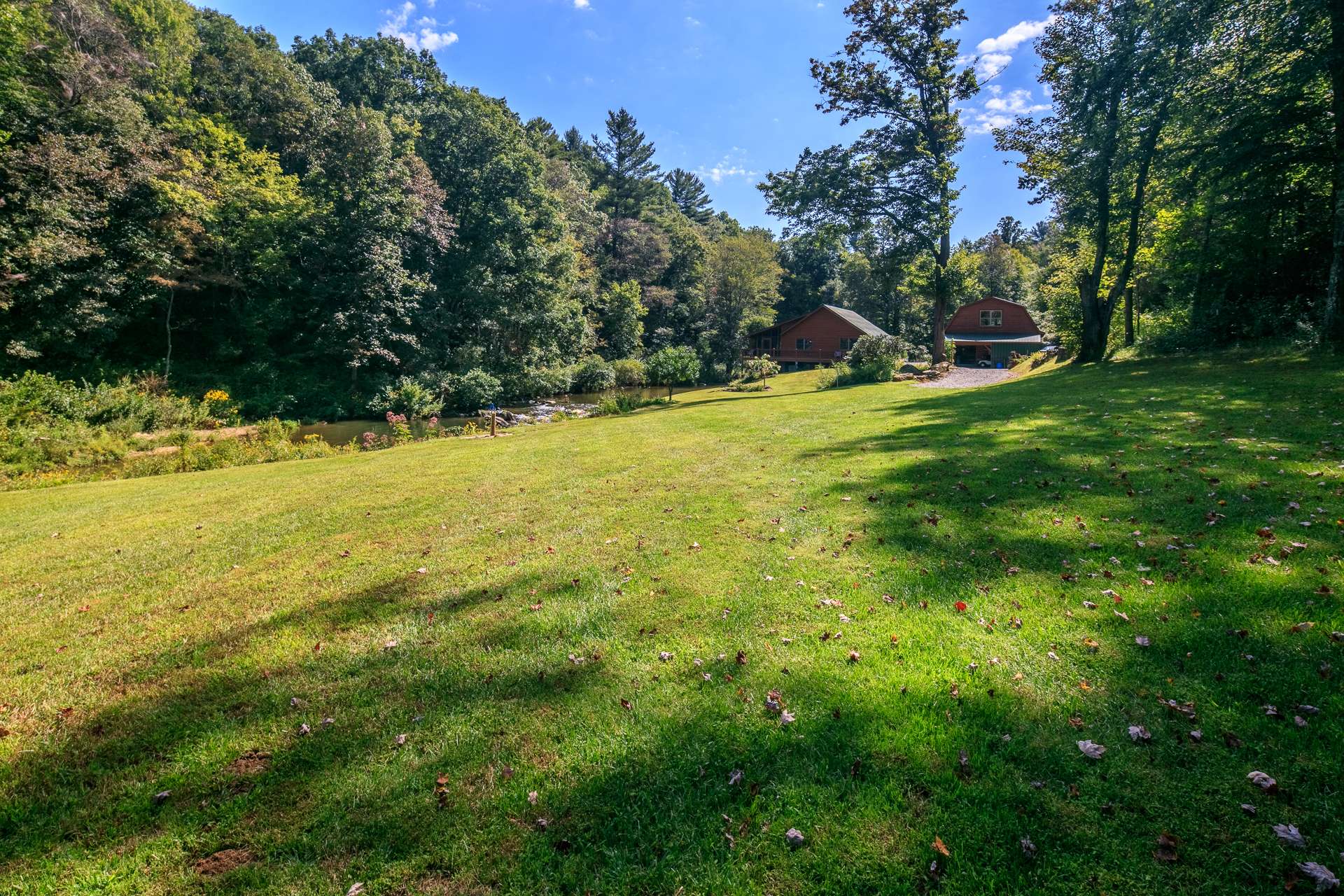 This serene mountain setting is amazing!  Open areas for gardens, orchard, or play, along with peaceful woodlands with a diverse mixture of hardwoods, evergreens, and native mountain foliage.
