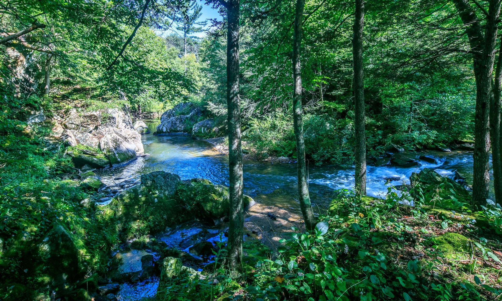 What a lovely spot to spend the afternoon basking in Nature's bounty including the unique rock formations creating cascading falls and rapids.  You can almost hear the water and feel the breezes from the trees.