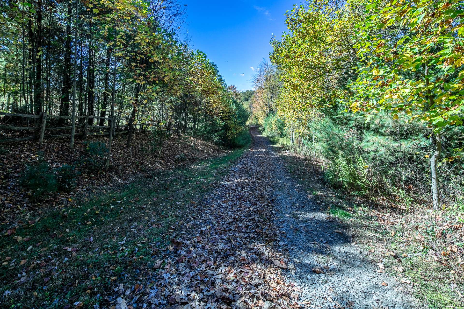 A private graveled drive, canopied with hardwoods and evergreens, winds its way to  your mountain estate.