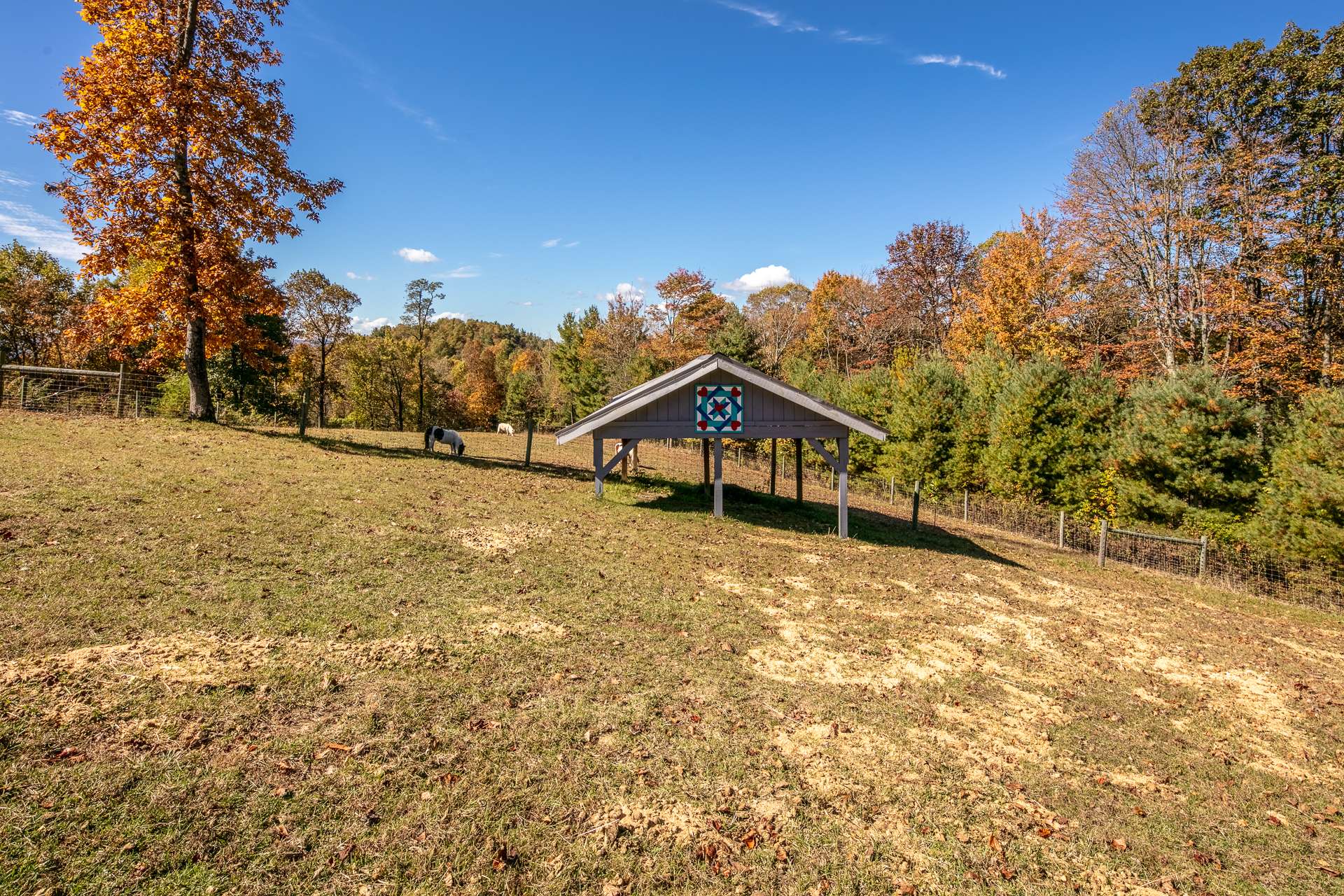 The pastures are fenced and includes a run-in shed for the horses.   Golf cart trails take you all over the property that offers additional building sites.