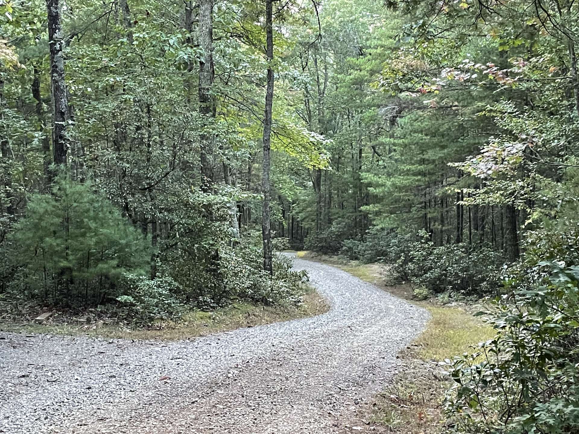 Well-maintained gravel drive lined with mountain laurels brings you home to your mountain paradise