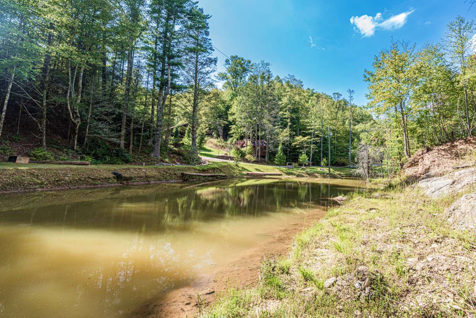 So many outdoor places to relax and observe Nature.