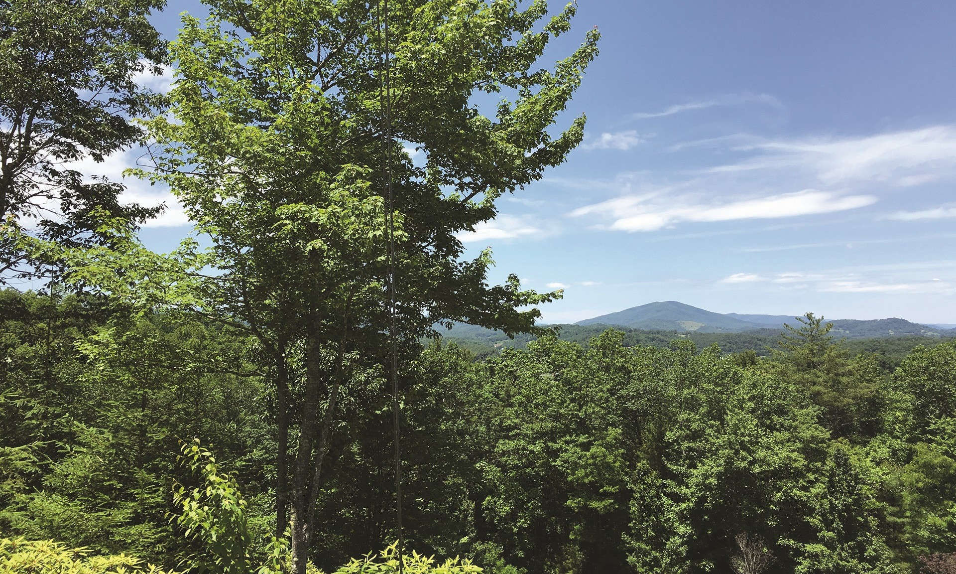 Lots 33 and 34 off of Charlie Lane  are now available.  This wooded 6.07 acre tract offers privacy, fantastic long range views, a small mountain stream, and abundant wildlife.