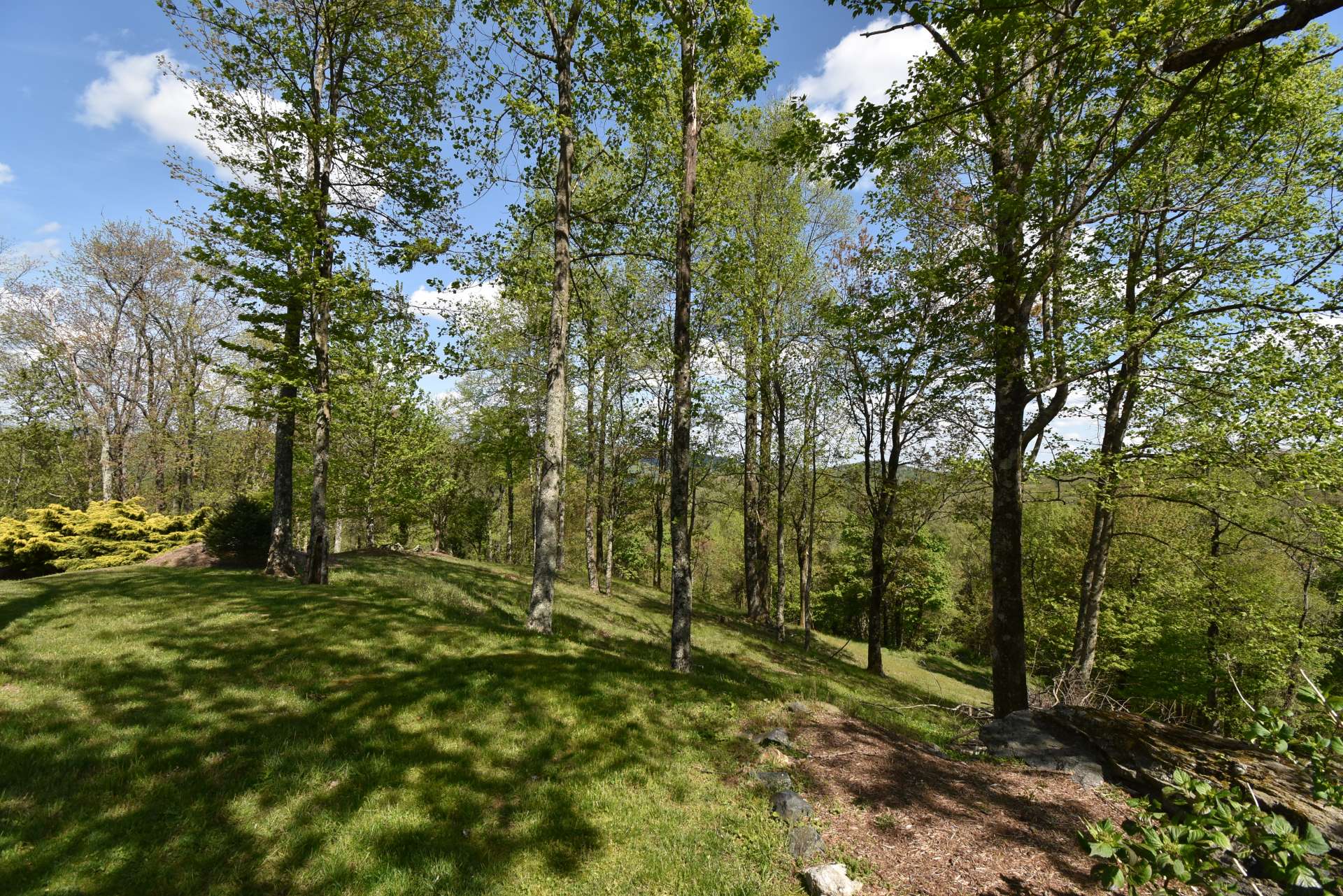 Soon you will enjoy the lush greens of Summer in the landscaping and views.