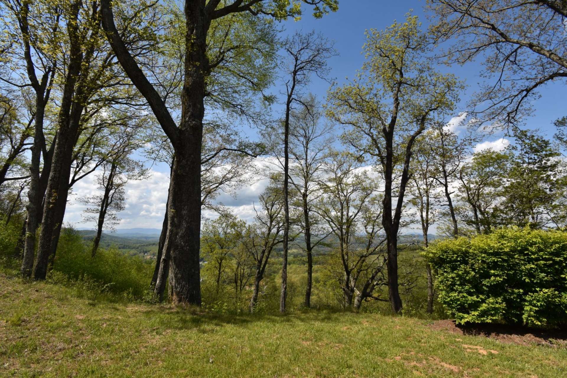 These views can also be enjoyed from many locations within the home.