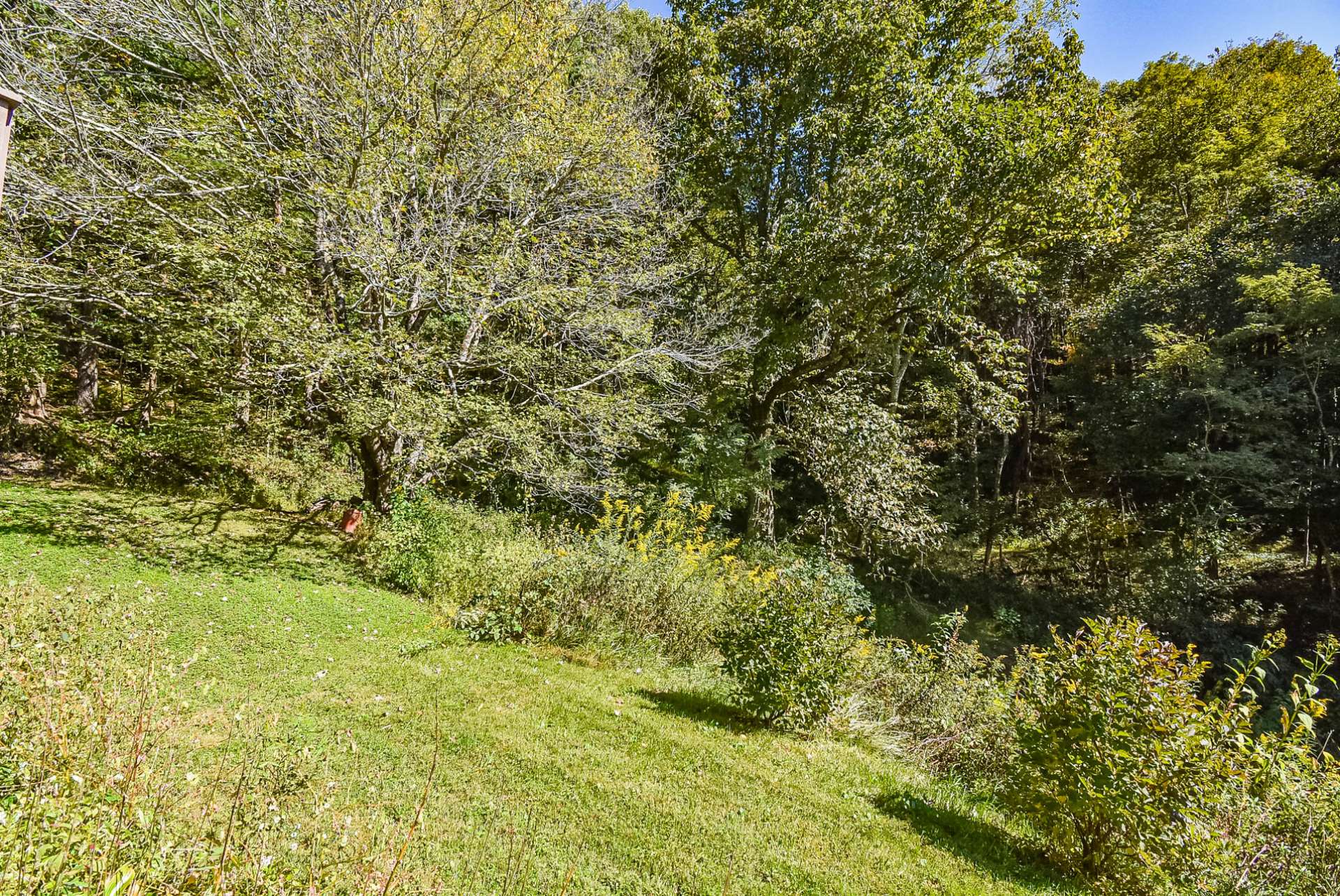 The setting offers lots of raspberry and blueberry bushes, as well as perennials, annuals, and wildflowers.