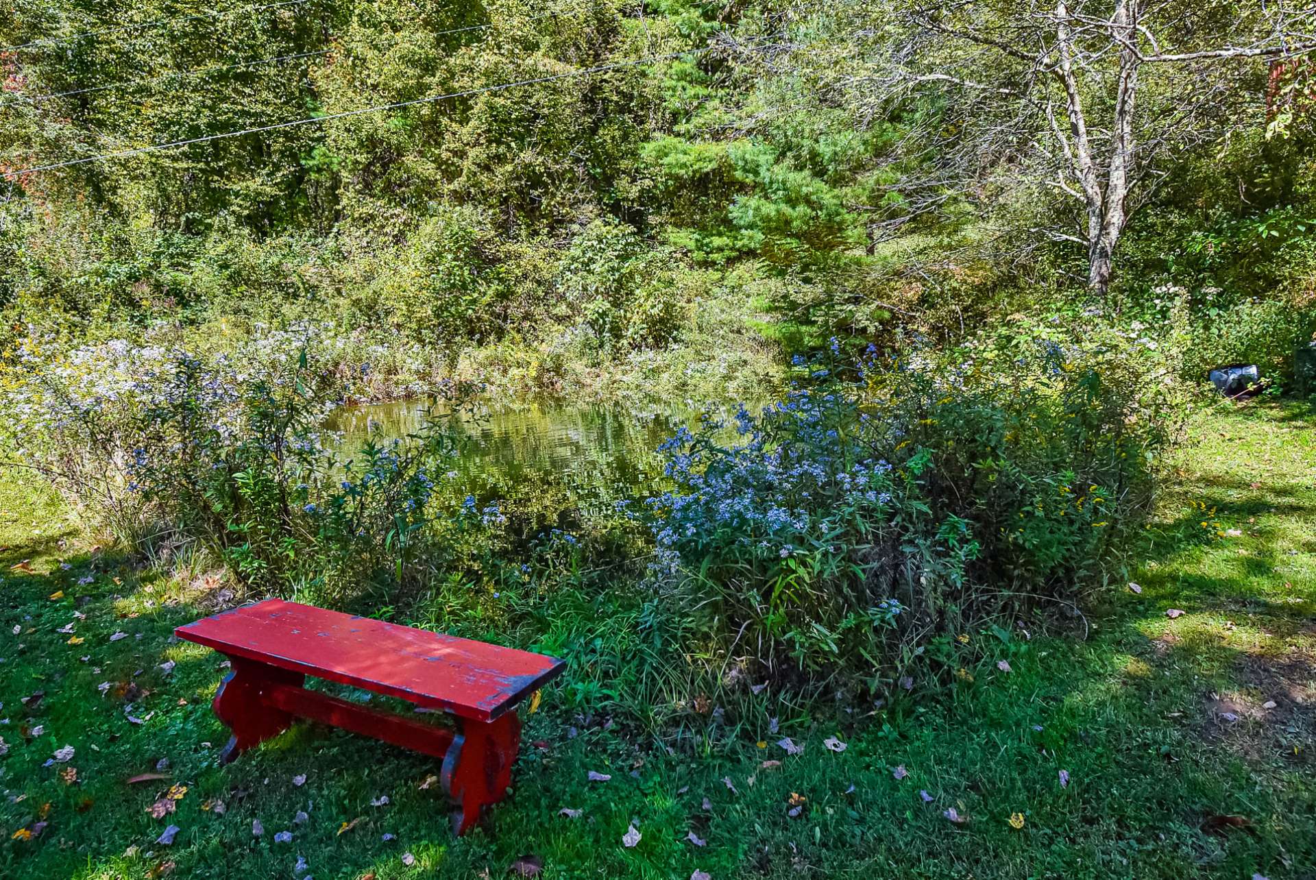 What a peaceful spot to enjoy a summer afternoon.