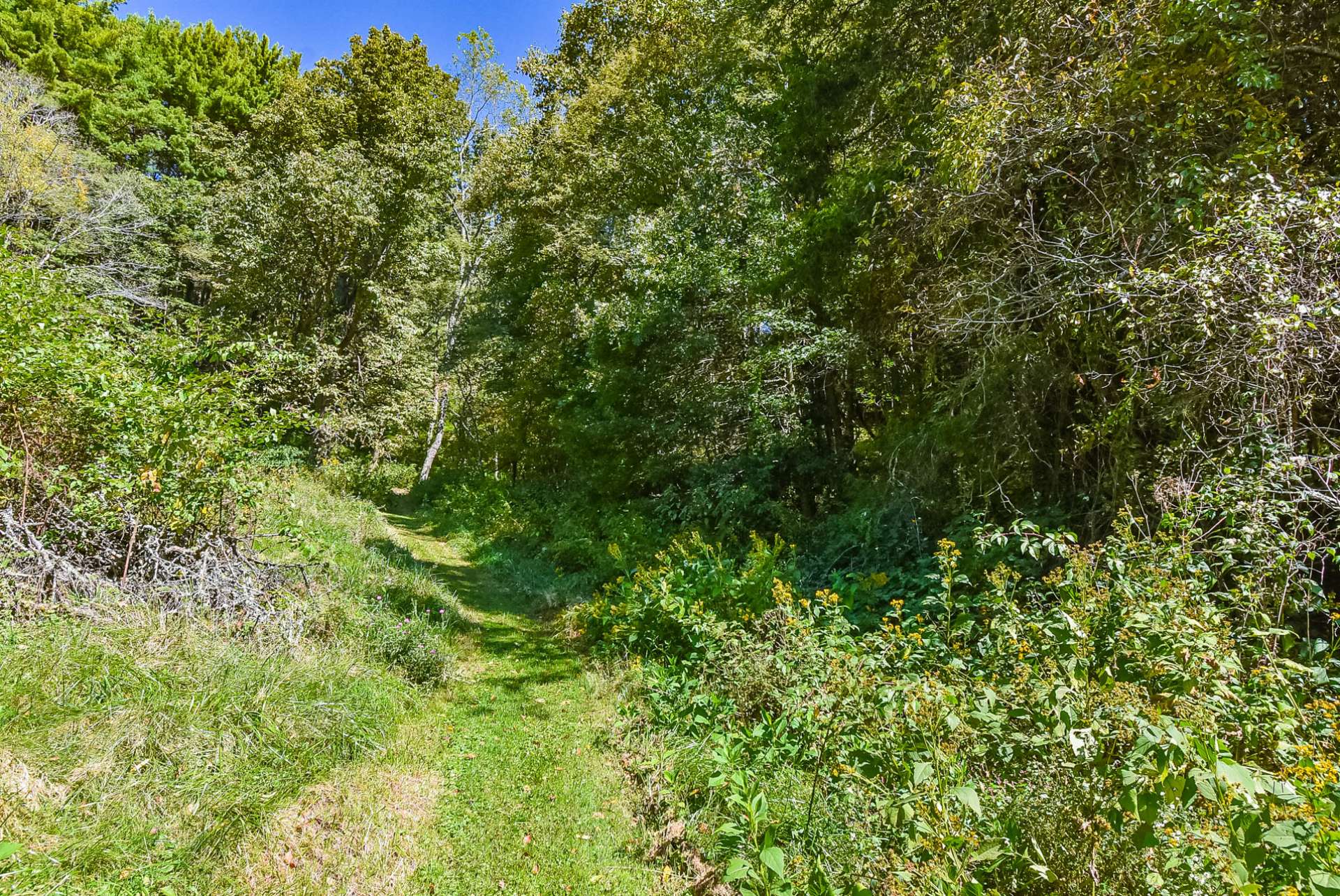 Feel like a hike? This property offers trails that wind through the woodlands creating wonderful hiking, exploring, ATV, or horseback adventures.