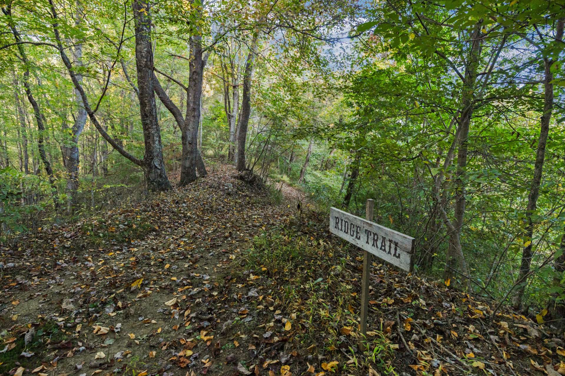 UTV / ATV trails throughout the 74 acres