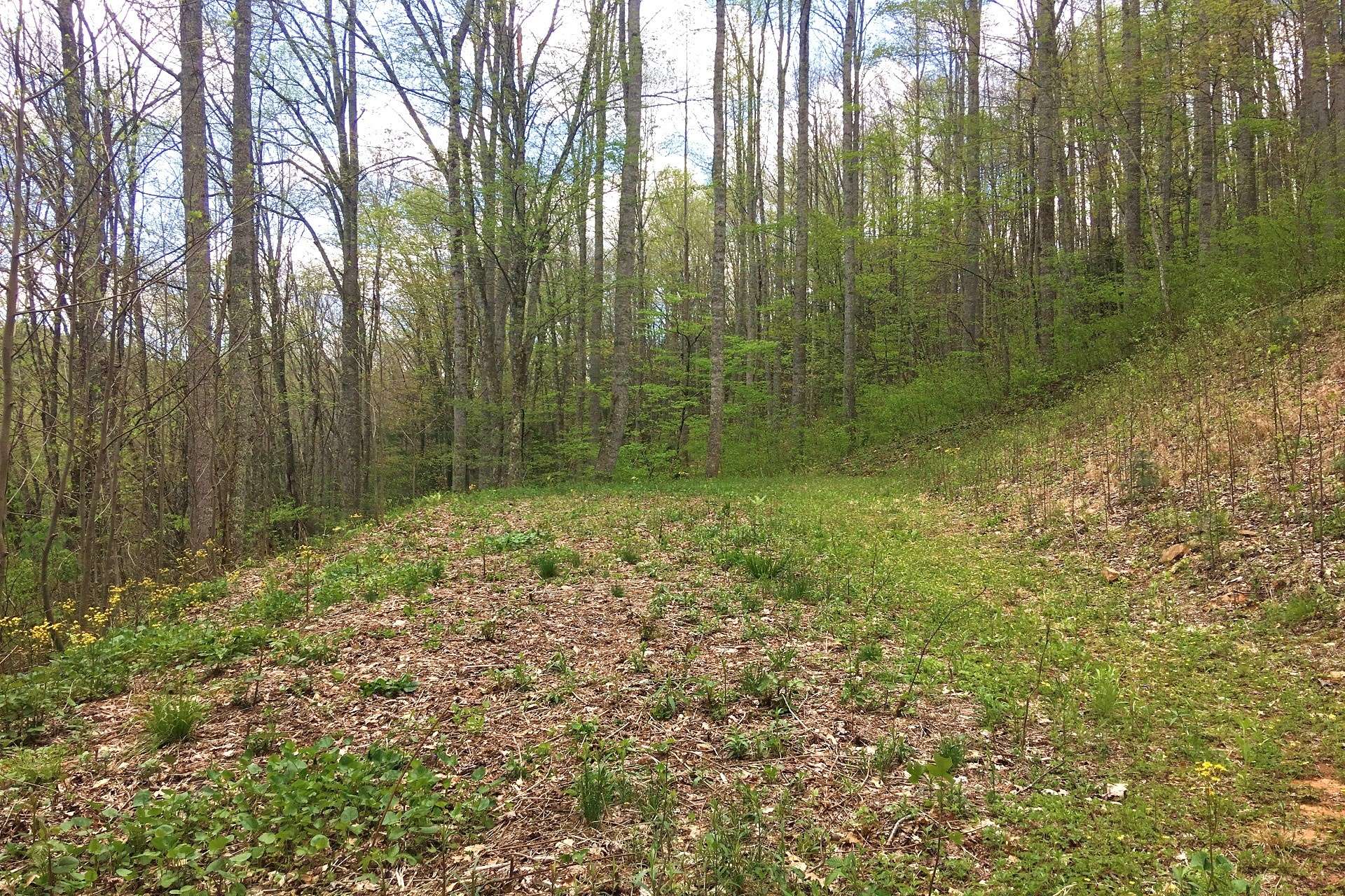 A cleared area toward the top provides a great spot to construct your private mountain cabin or home. You will enjoy seasonal views, the sounds of The New River below, and the changing landscapes through all four seasons in the NC Mountains.