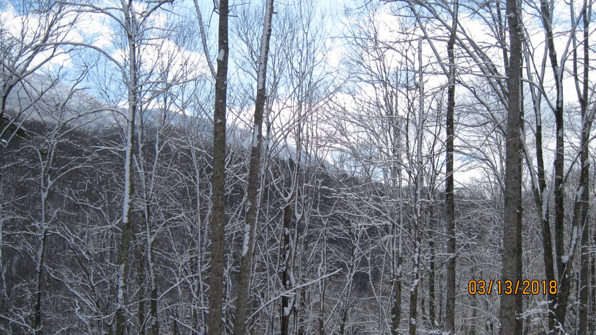 This photo provided by the seller shows how enchanting the winter season can be here on this sweet 4 acre tract.  Offered at only $25,000, this 4 acre mountain tract with driveway roughed in to the top boundary with two cleared areas for potential building sites, plenty of native hardwoods, conifers, and mountain foliage, is the ideal private location for your mountain cabin or home. The Creston location is convenient to Boone, West Jefferson, and the NC High Country. H285