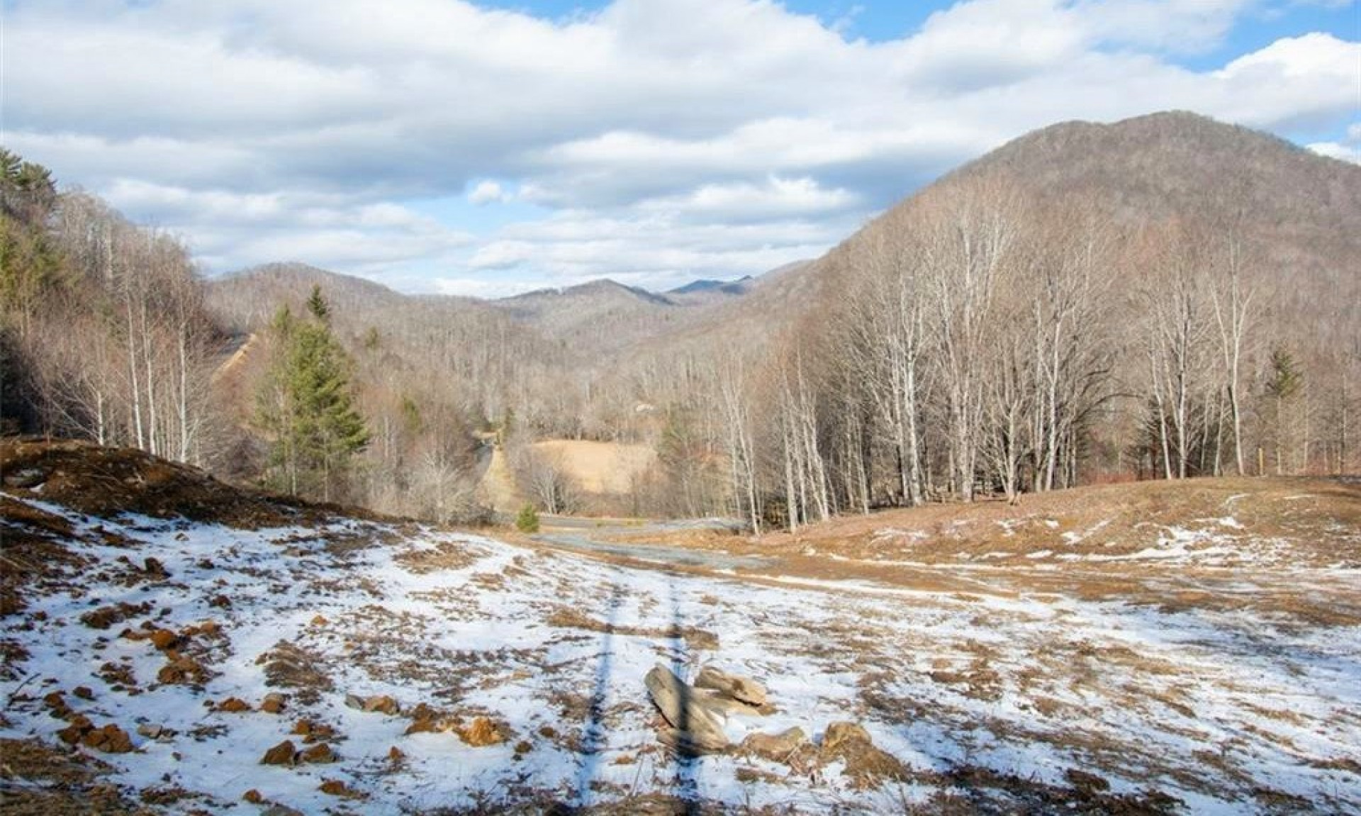 Private Southern Ashe County Estate Homesite