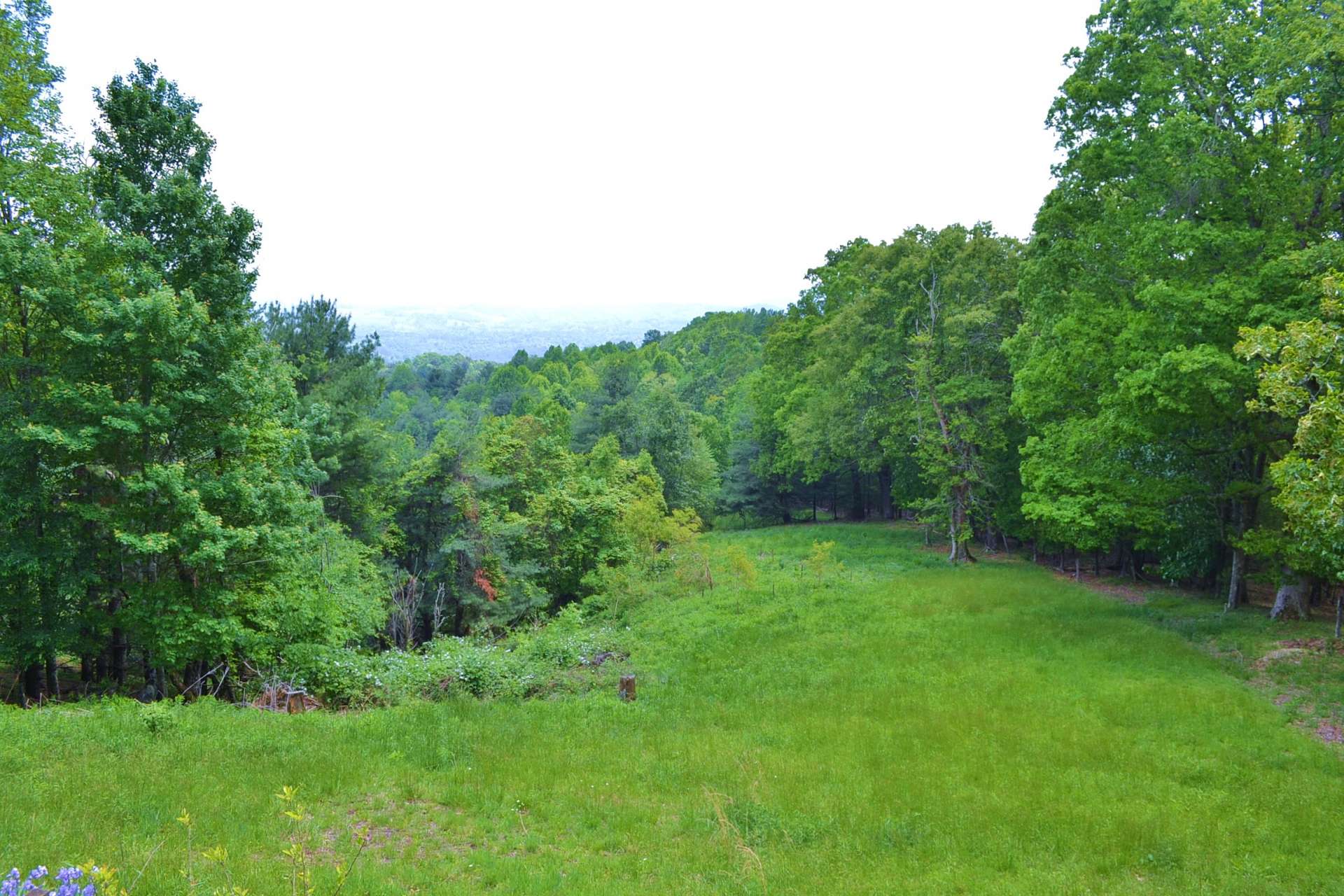 The land features plenty of open area for gardening or play. Surrounded by hardwoods, evergreens, and mountain foliage, you will enjoy watching the wildlife make routine visits to the property.