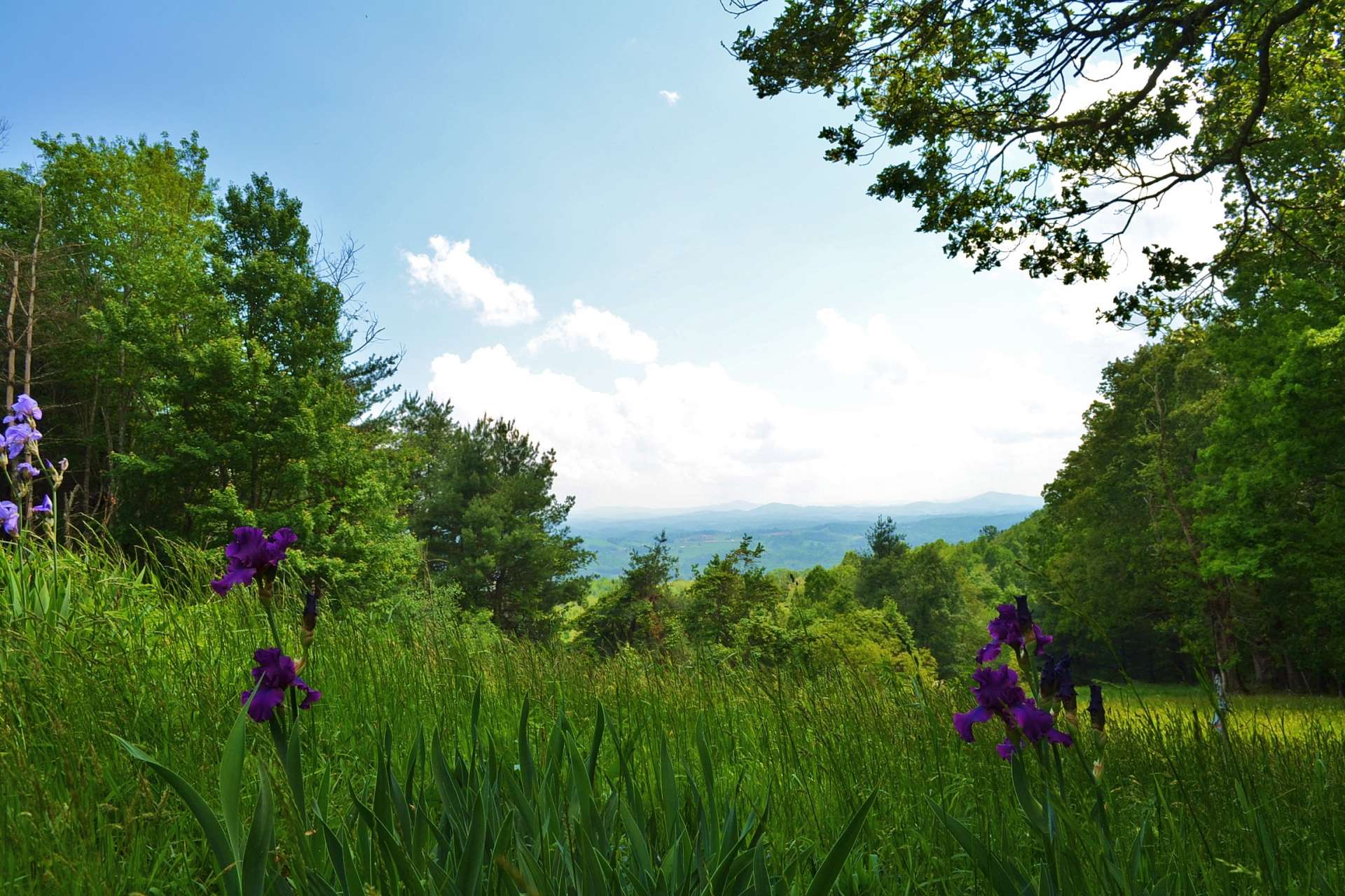 Privacy and a peaceful  setting with gracious long range layered mountain vista views create the ideal Virginia Mountain retreat.