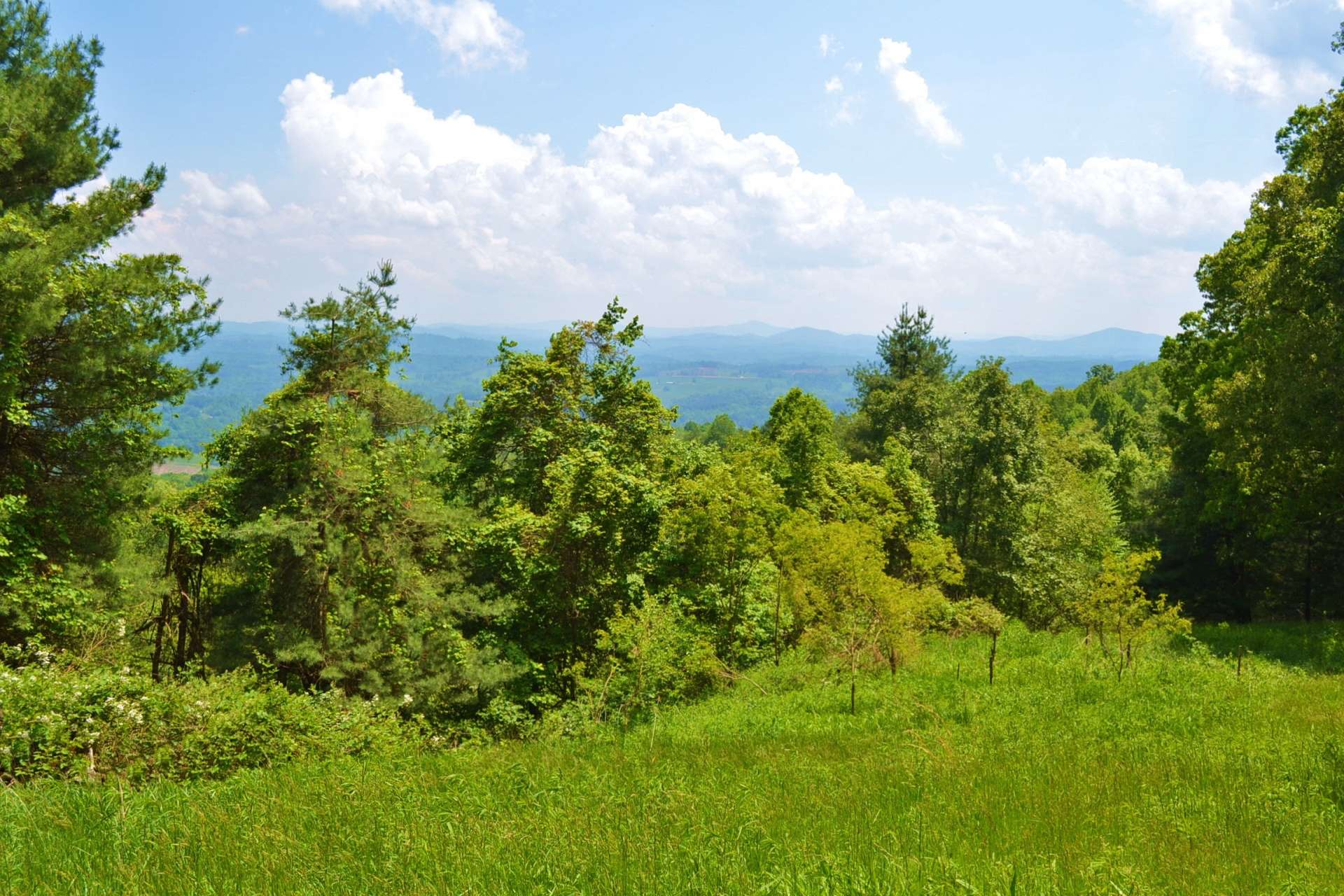 You will enjoy the wildlife that call this mountain home. You can almost hear the rustling of the leaves as a young whitetail strolls through the forest that surrounds this property.