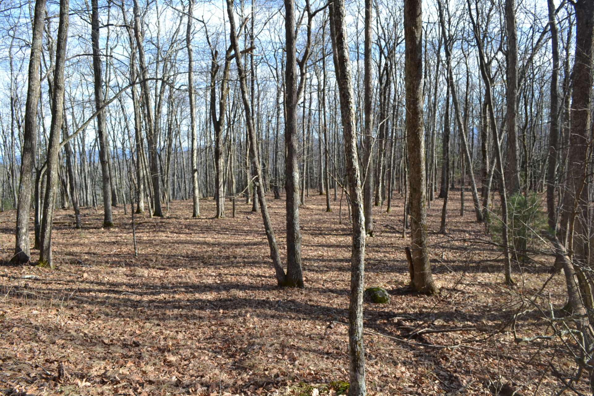 Nothing but the sounds of Nature here at this private retreat.