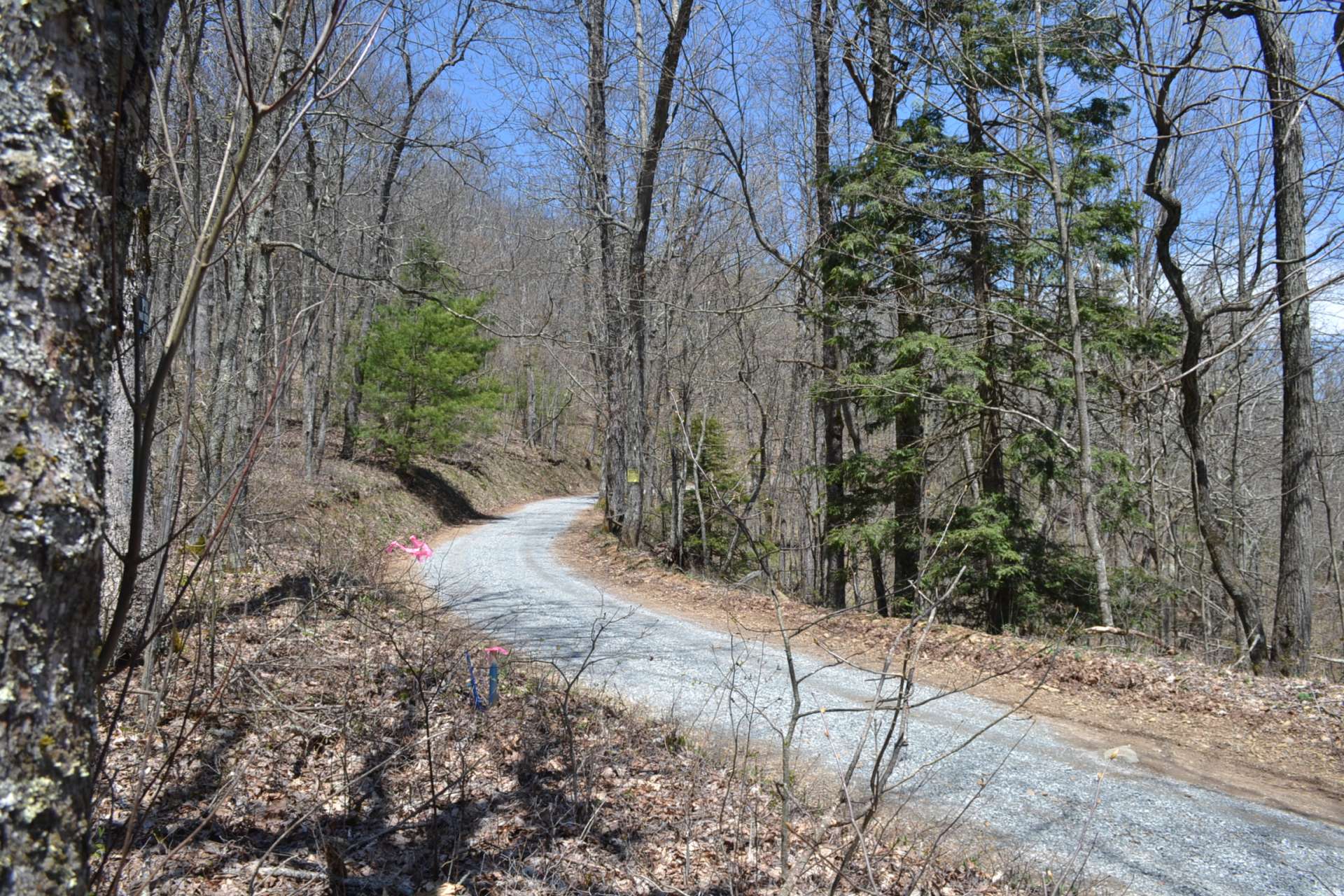 Panther Creek Road is a mountain graveled state maintained road. This is looking  to the left of the gate toward Panther Creek Rd.