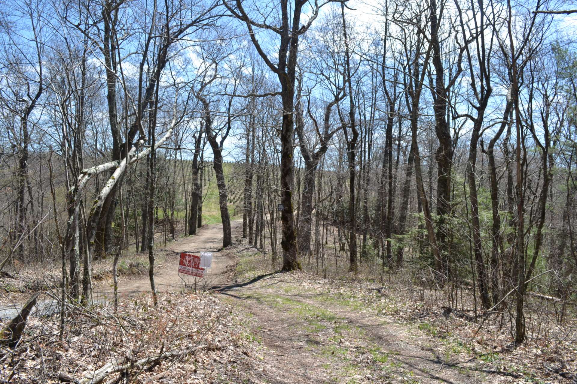 This is a photo of Panther Creek Rd. to the right of the gated entrance.