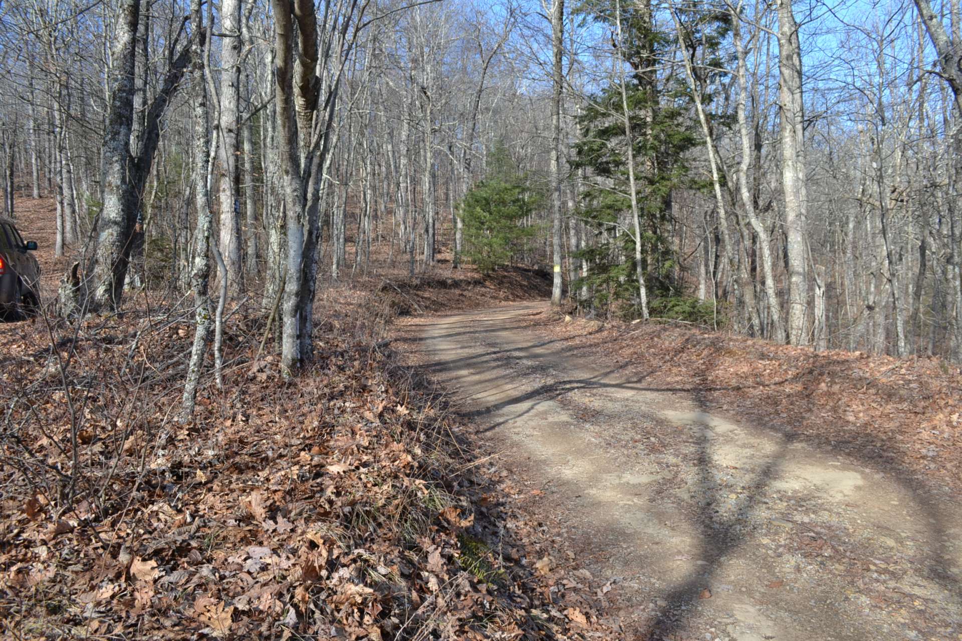 The property is located on Panther Creek Road in the Flatridge Community, Troutdale, VA. This photo is of Panther Creek Road to the right of entrance to property.