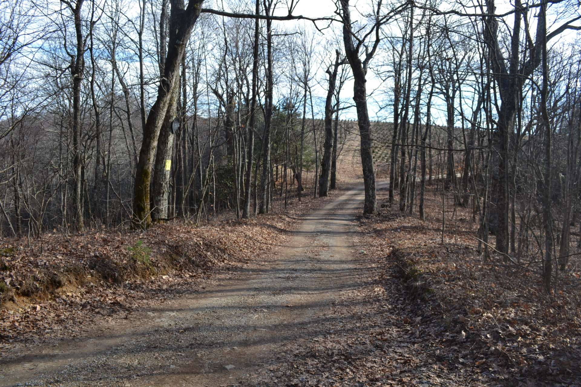 This is Panther Creek Road to the left of entrance to property. This is a state maintained road. No homes in sight. Very private and located at 4,200 feet elevation for a true mountain experience.