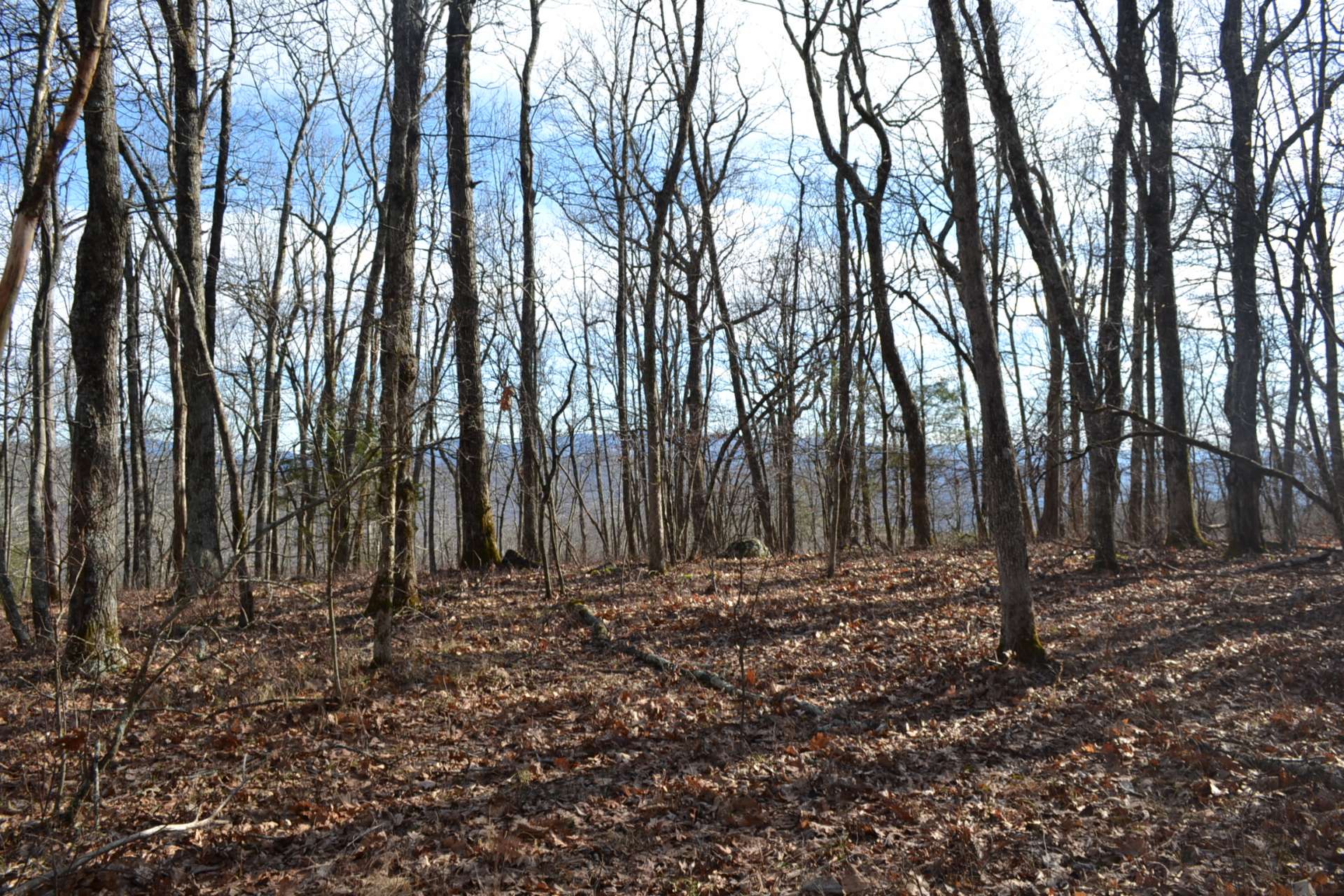 Several potential building sites offer views.