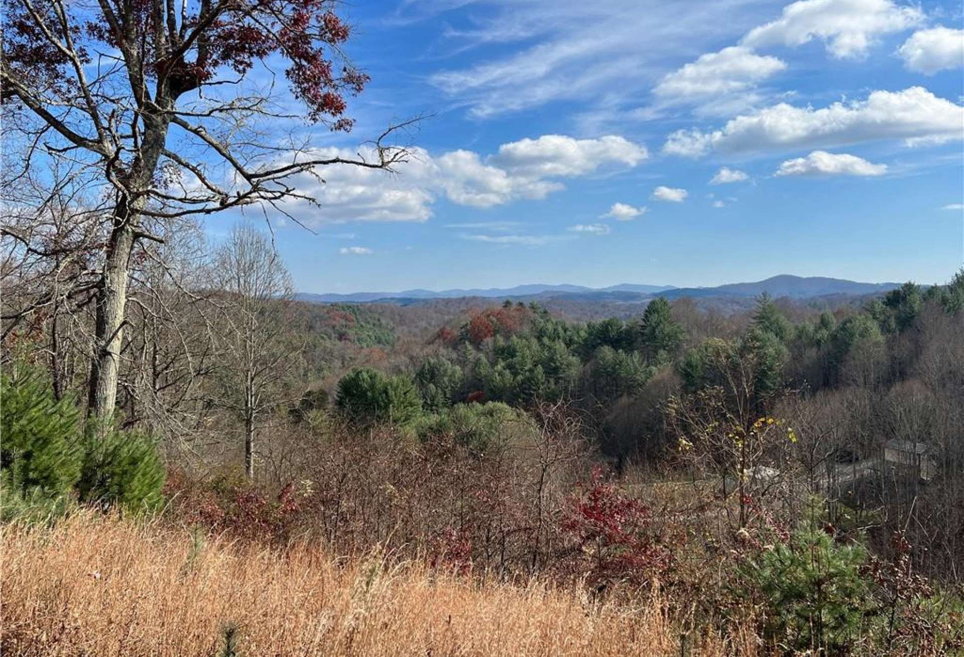 Long Range Mountain Views from Deck