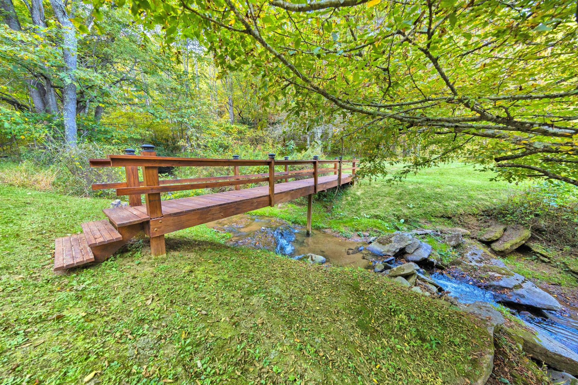 Rushing Creek