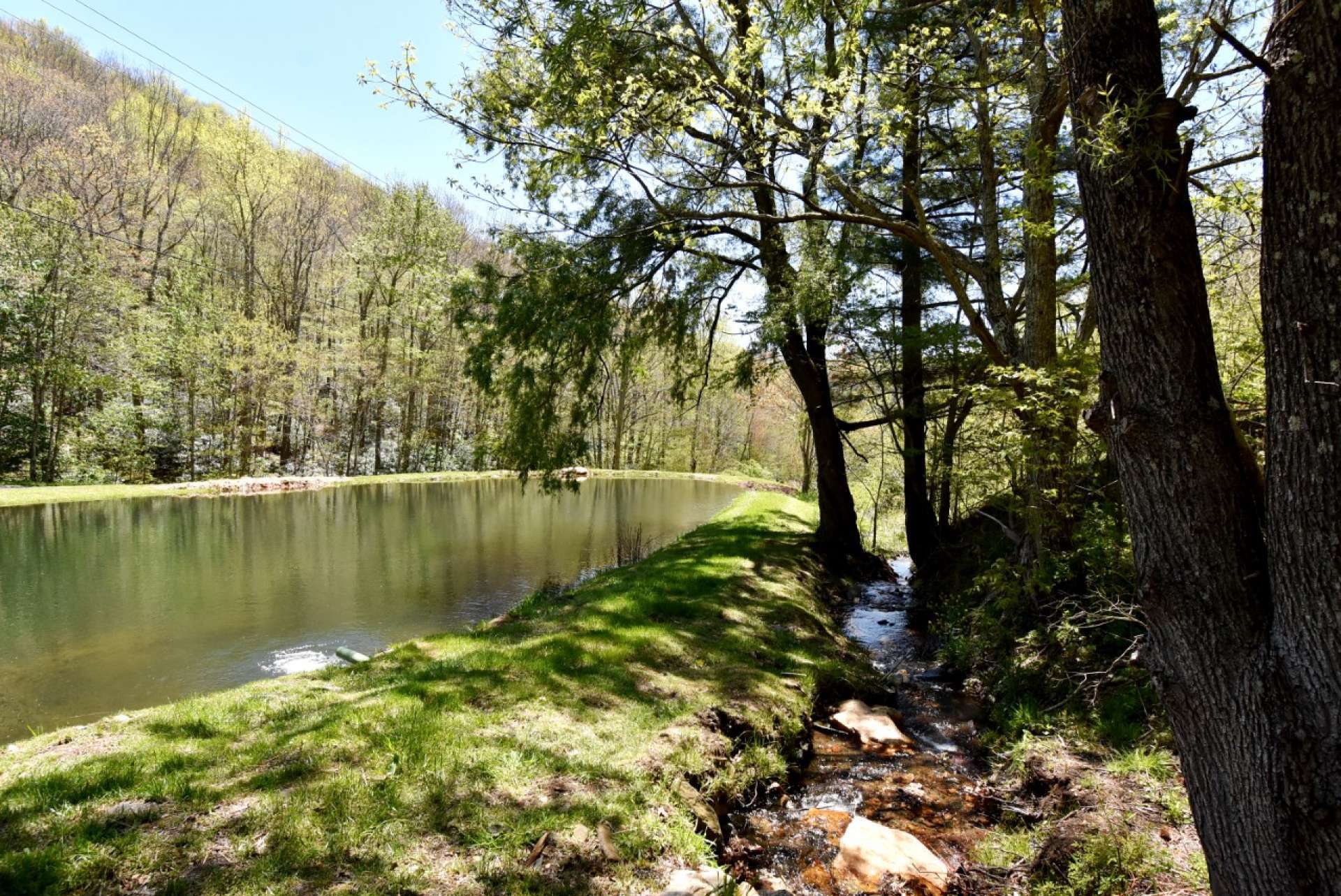 The fish pond offers a lovely place for an afternoon picnic.