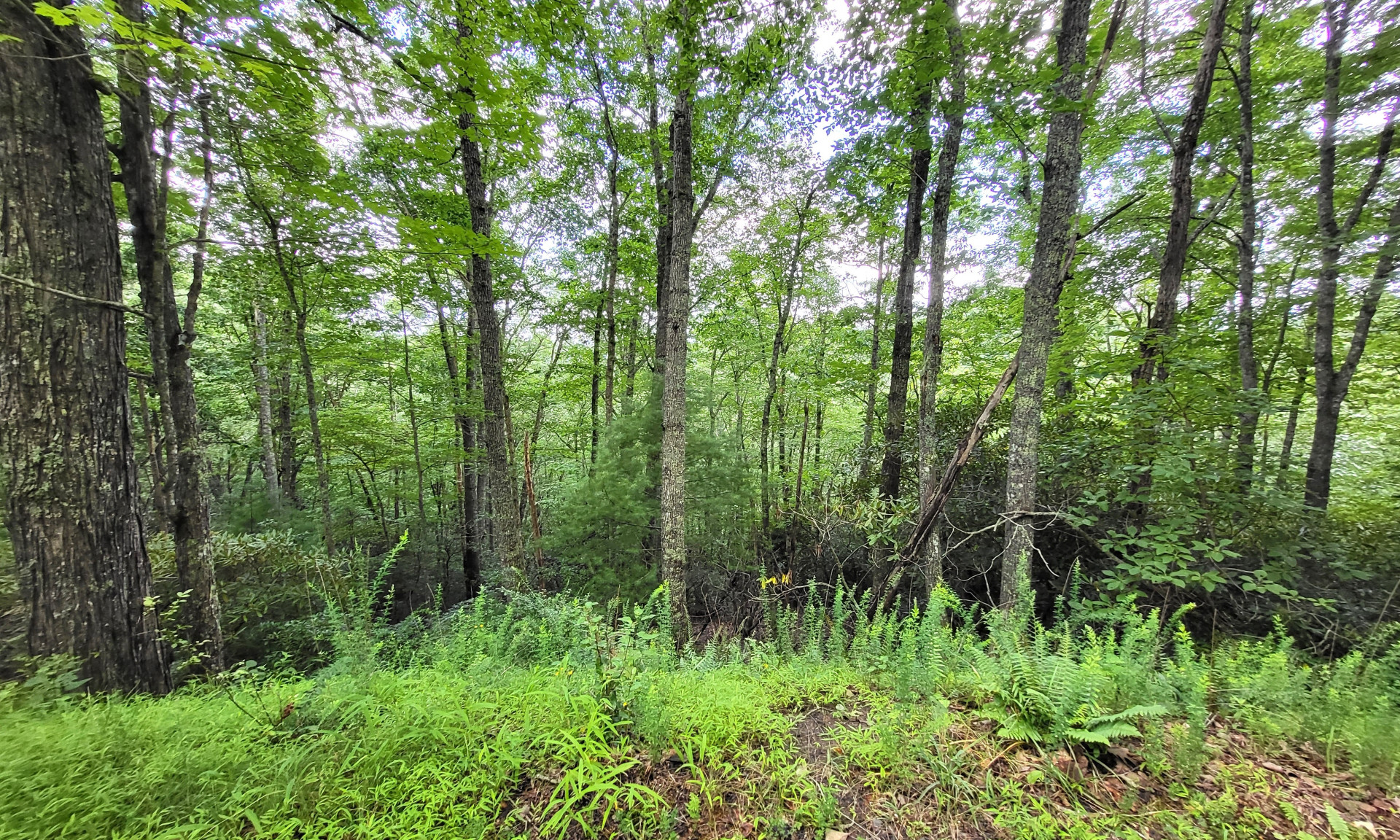 River Mountain Homesite NC