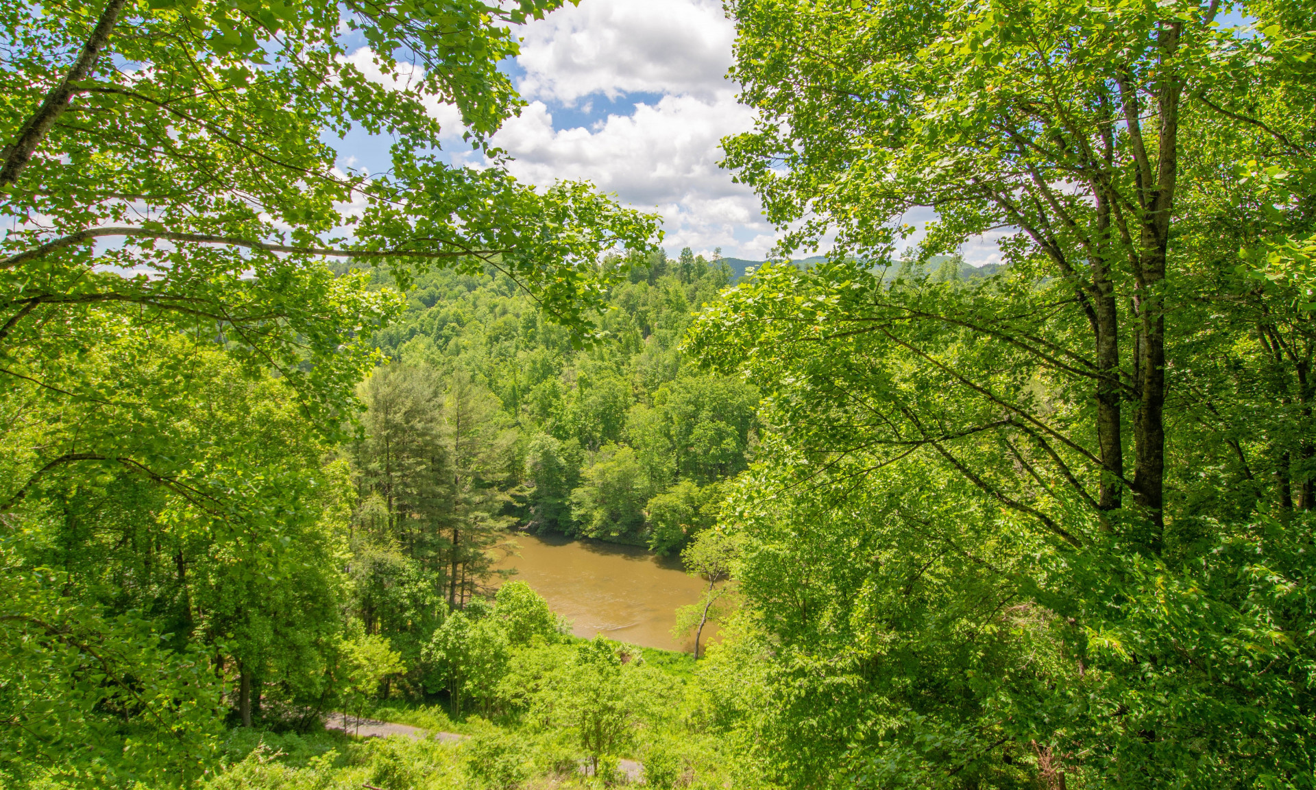 Spacious NC Mountain Cottage with New River views.