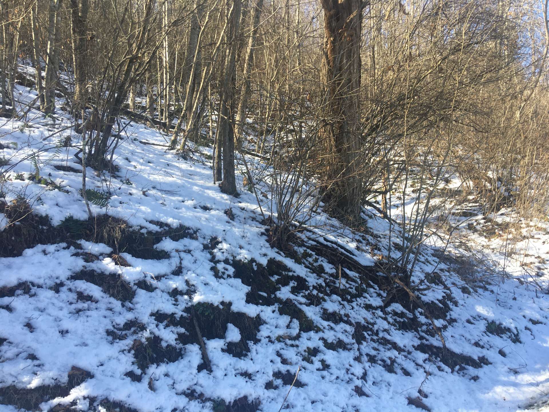This 2.39 acre homesite is a combination of 4 lots in River Knoll Estates, a well established river community  offering common river access in the Crumpler area of Ashe County for your river recreation.