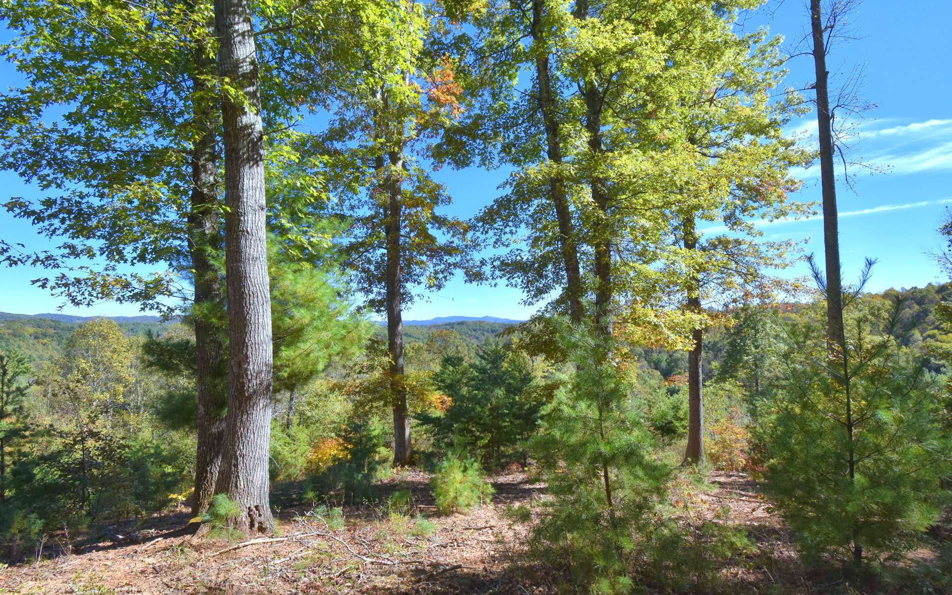 What a gorgeous spot for your NC Mountain cabin retreat or primary home.