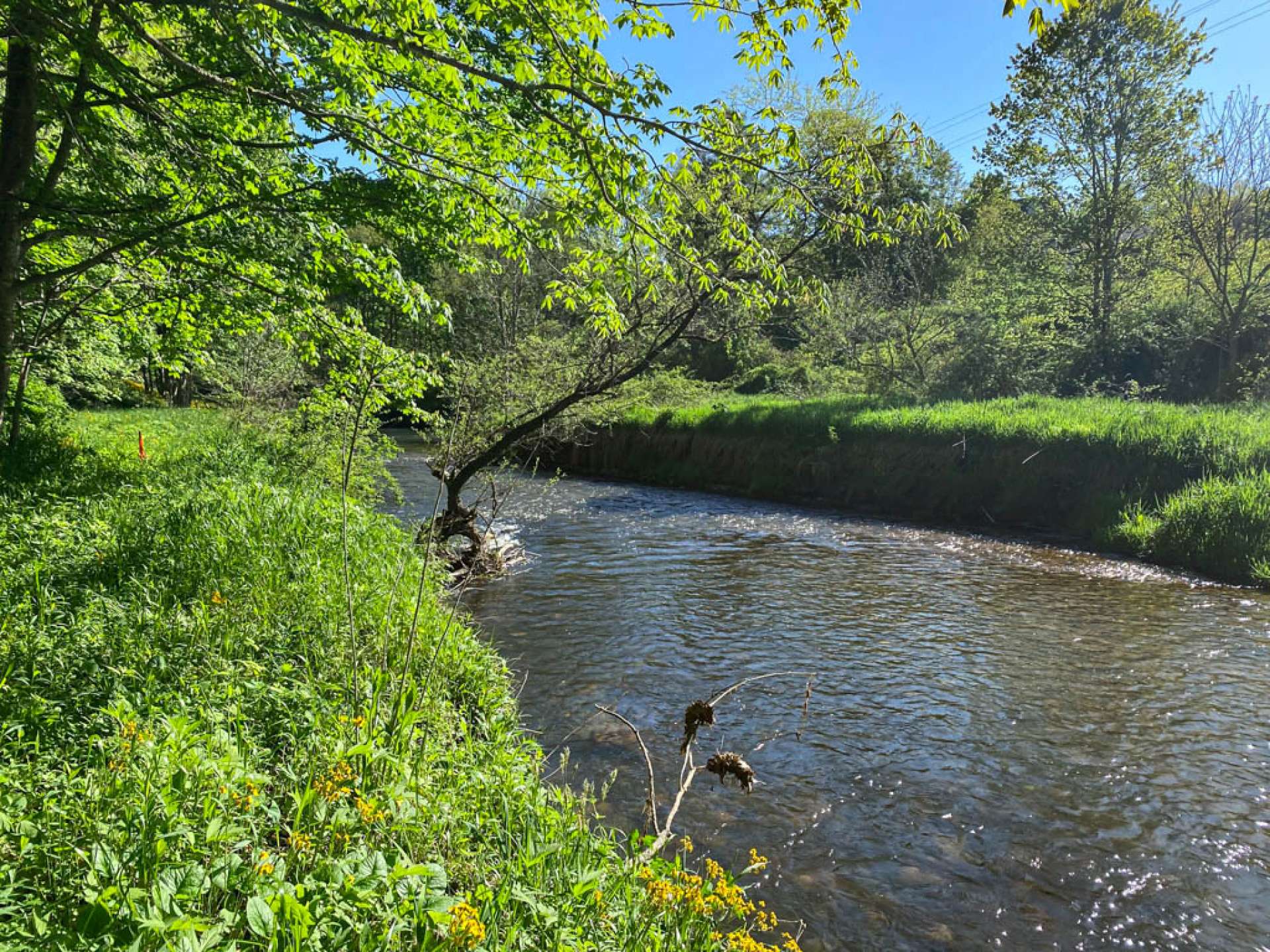 Looking down river from the riverbank of Lot 6.