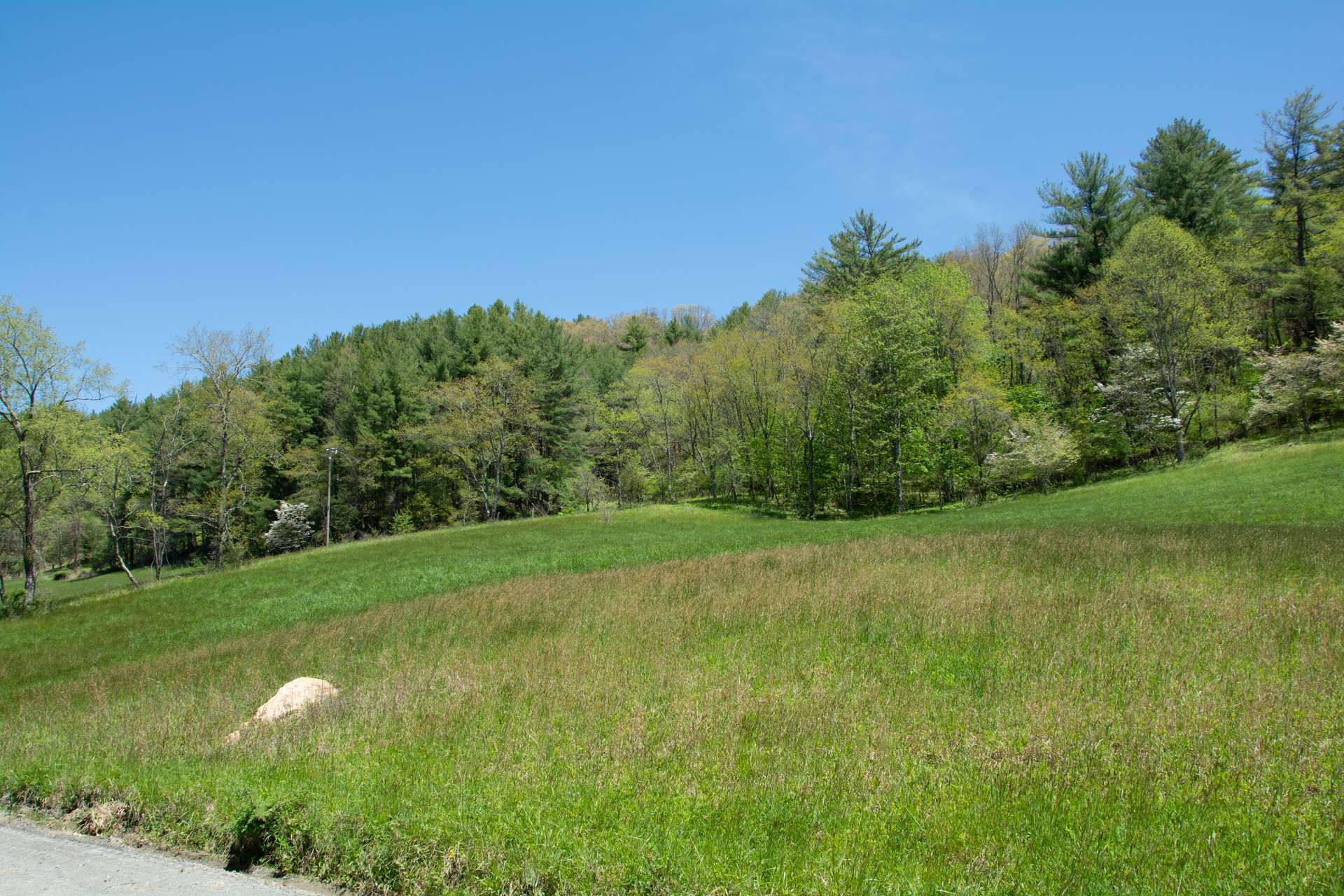 Across Willie Brown Road, there is a beautiful homesite that lays outside the flood zone and features serene river  and surrounding mountain views.