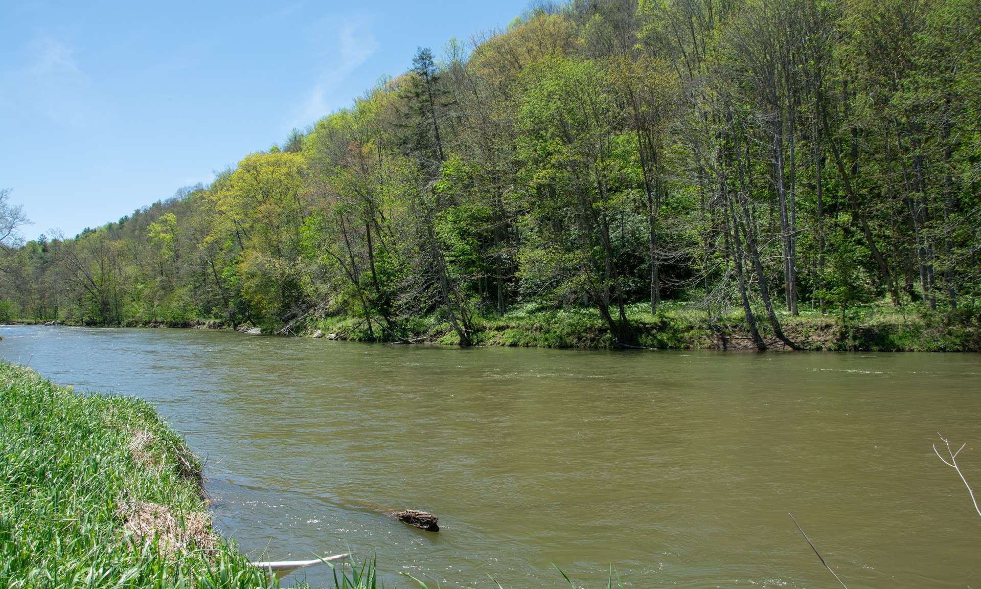 Imagine relaxing on the porch or deck of your newly constructed mountain cabin and enjoy the gorgeous views of the North Fork of the New River.