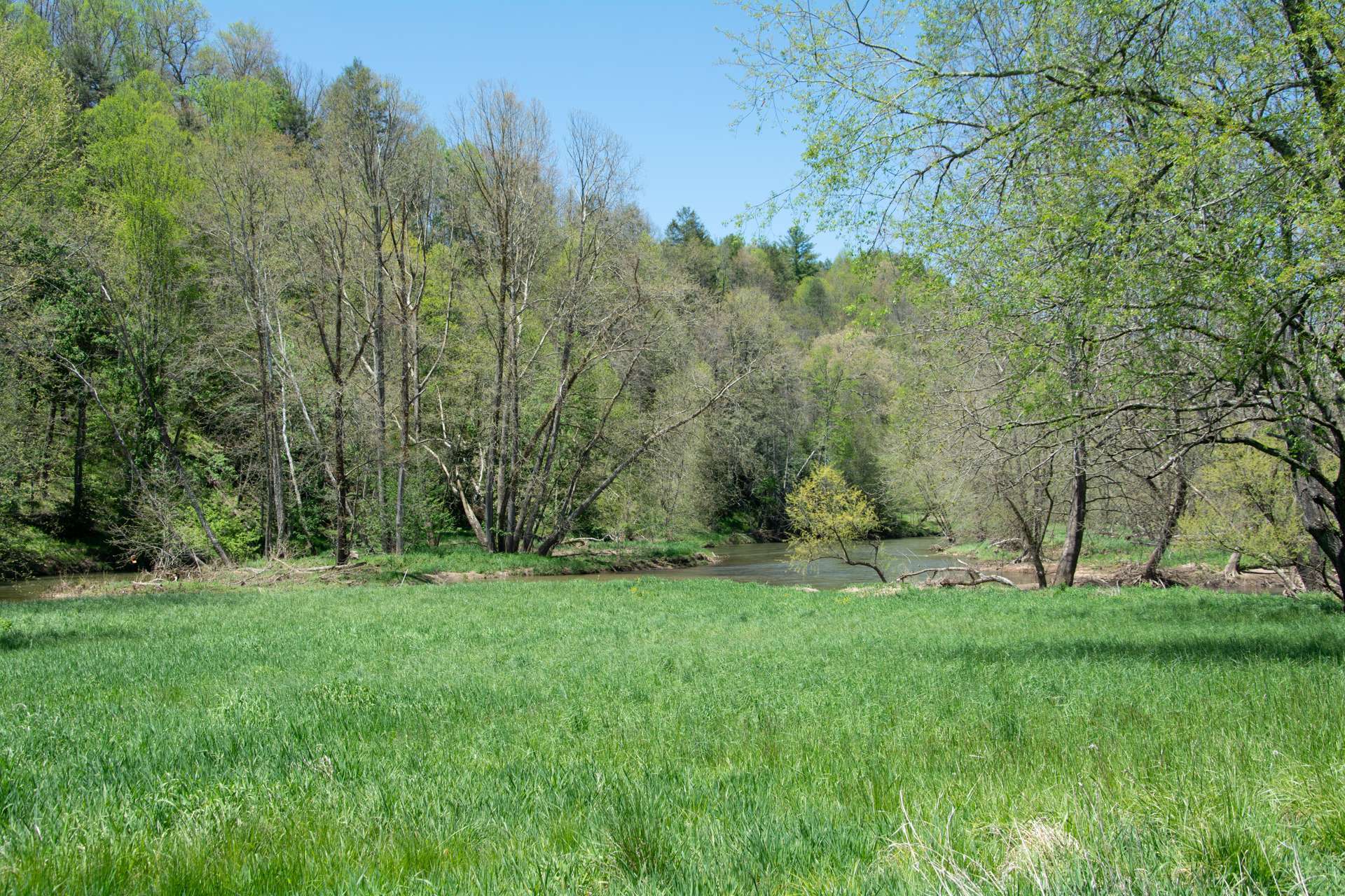 Beautifully open and level river frontage provides easy access to the river for  all kinds of water activities and outdoor games.